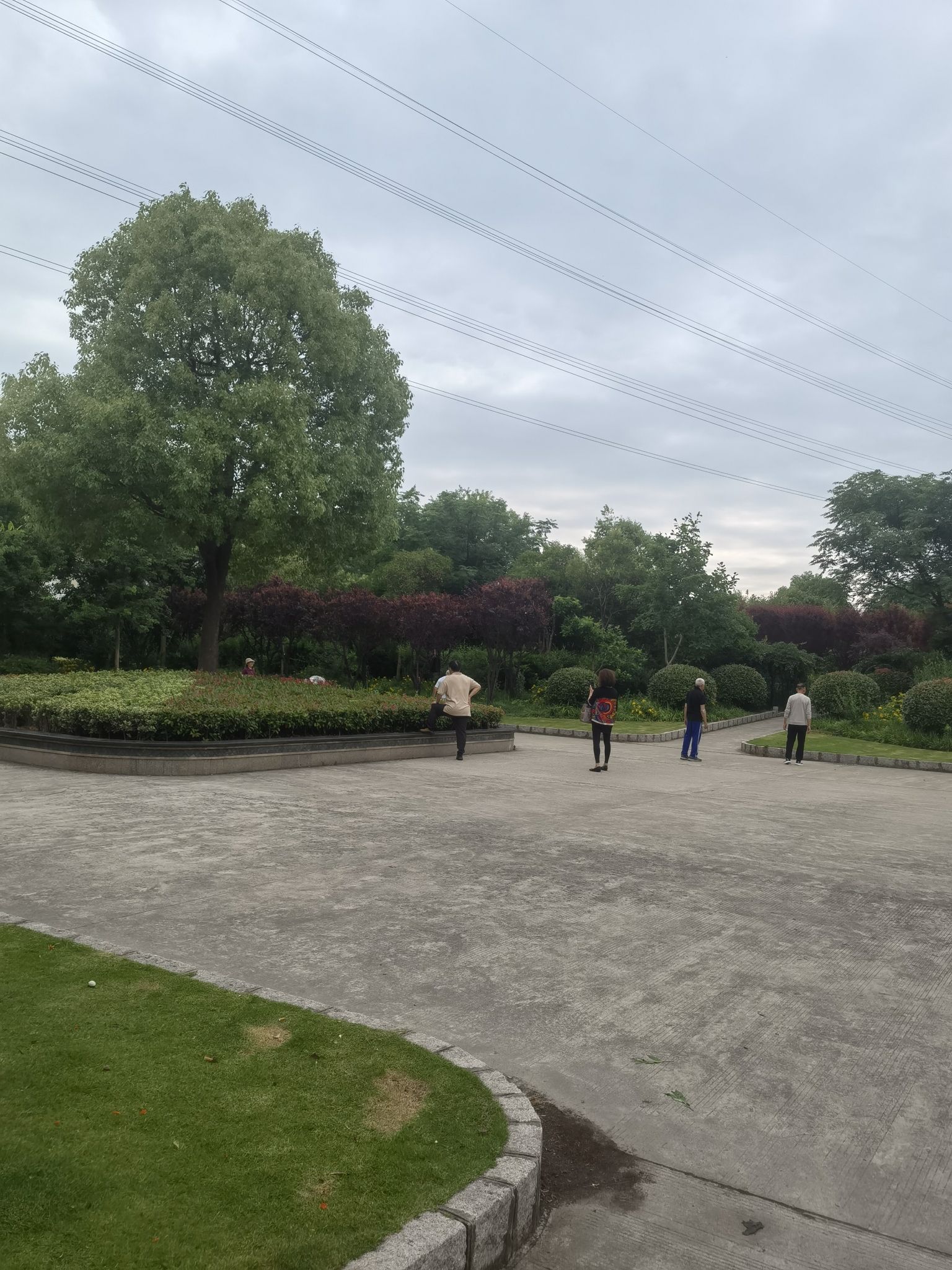 嘉美绿地旅行图片 3