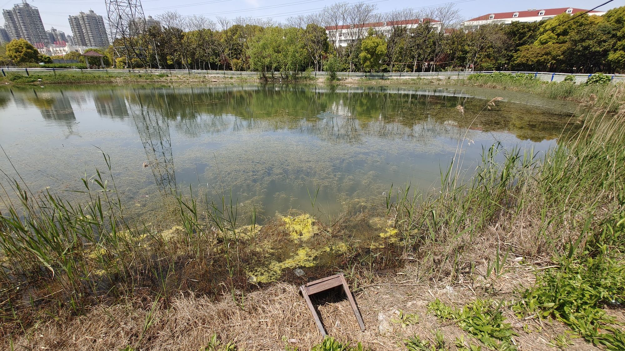 嘉美绿地旅行图片 1