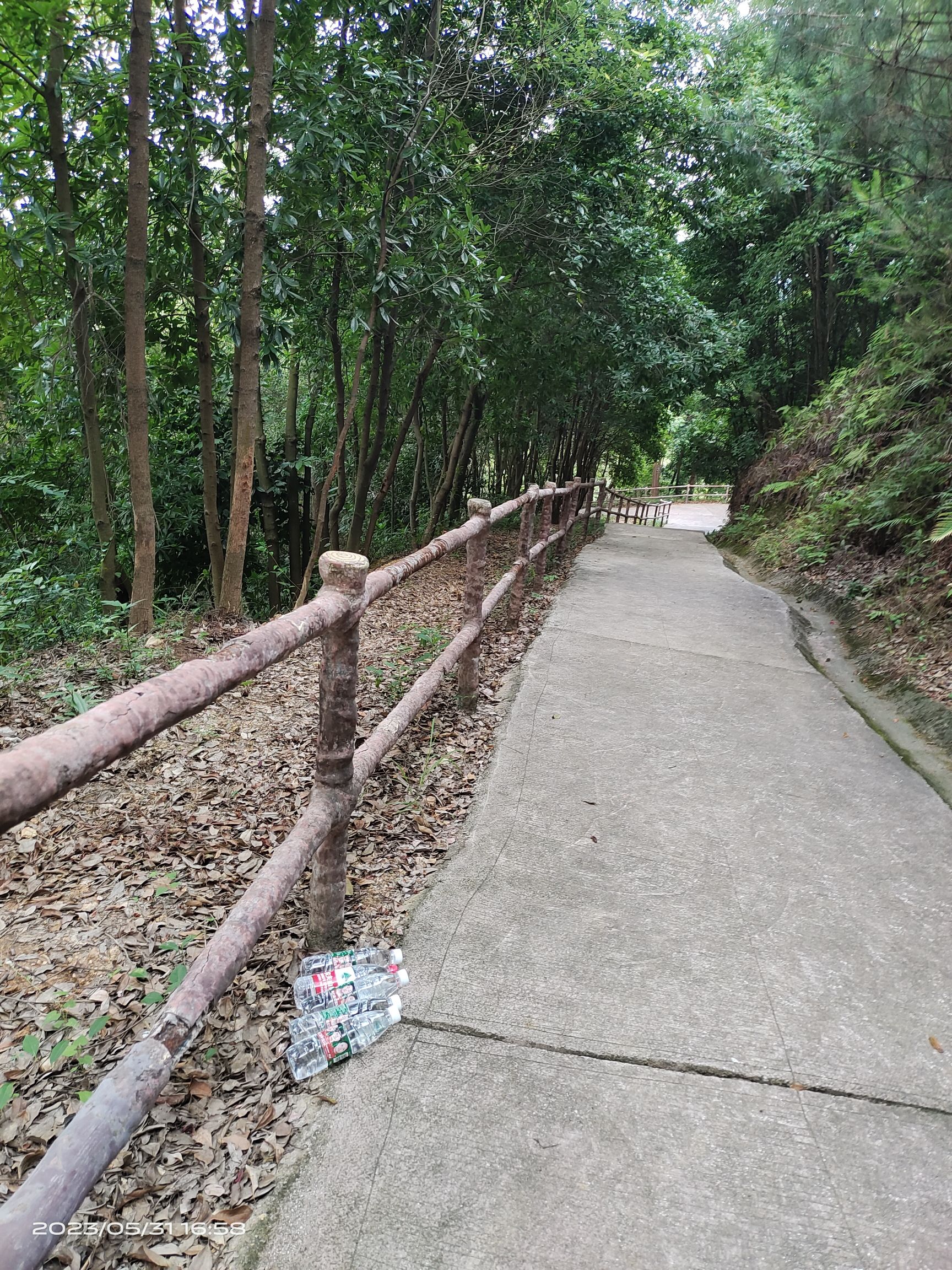 城南森林公园旅行图片
