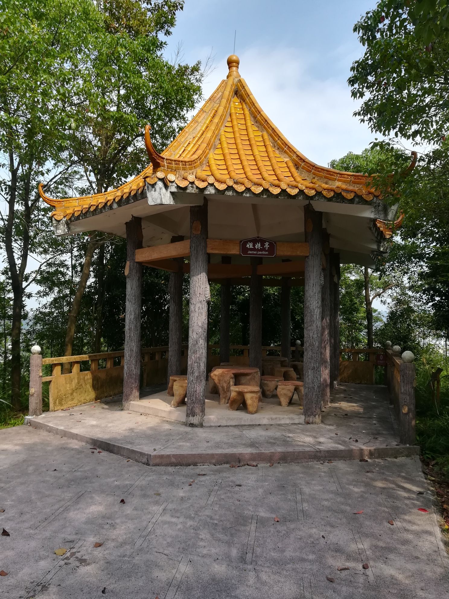 城南森林公园旅行图片 2