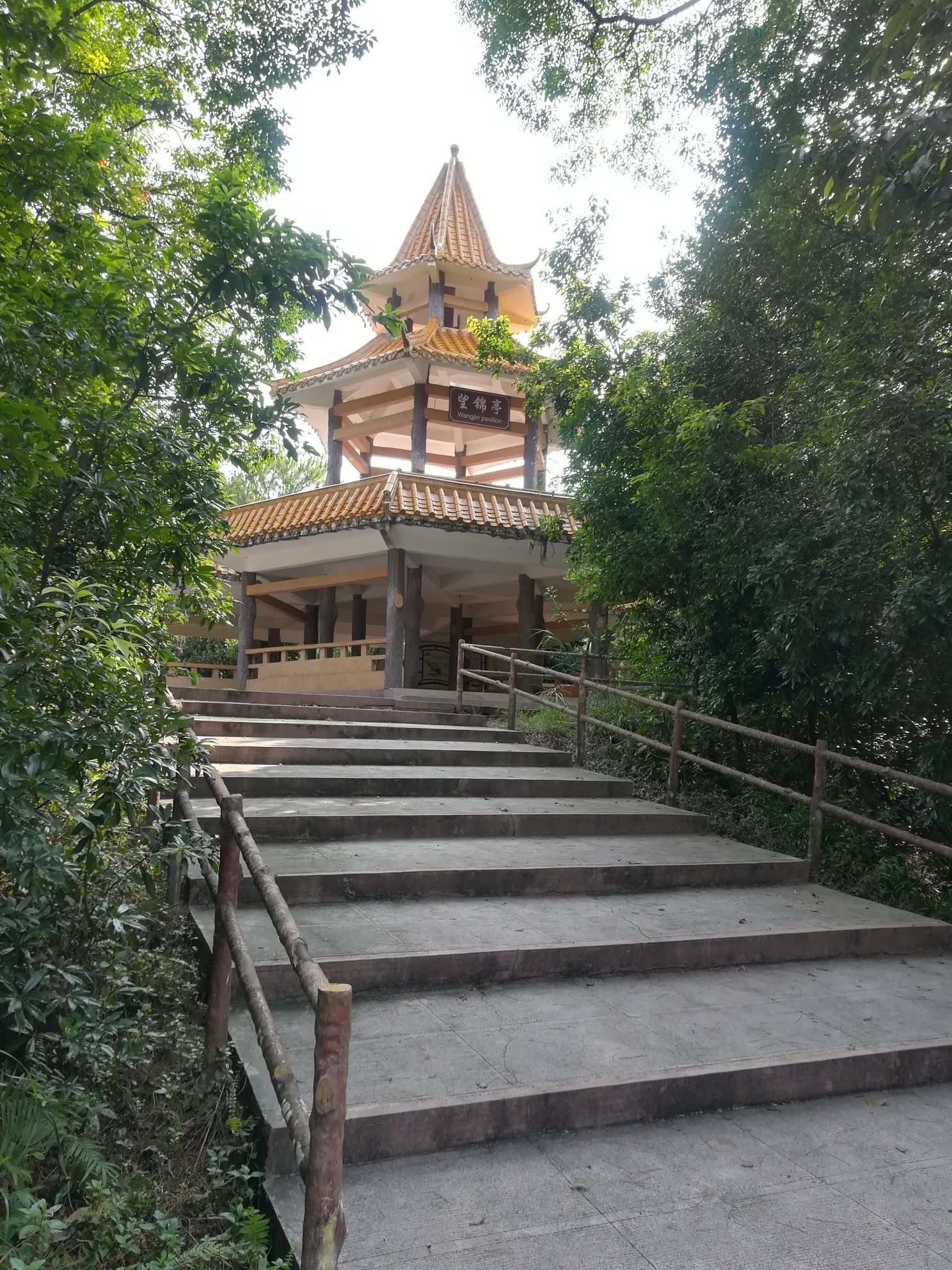 城南森林公园旅行图片 3