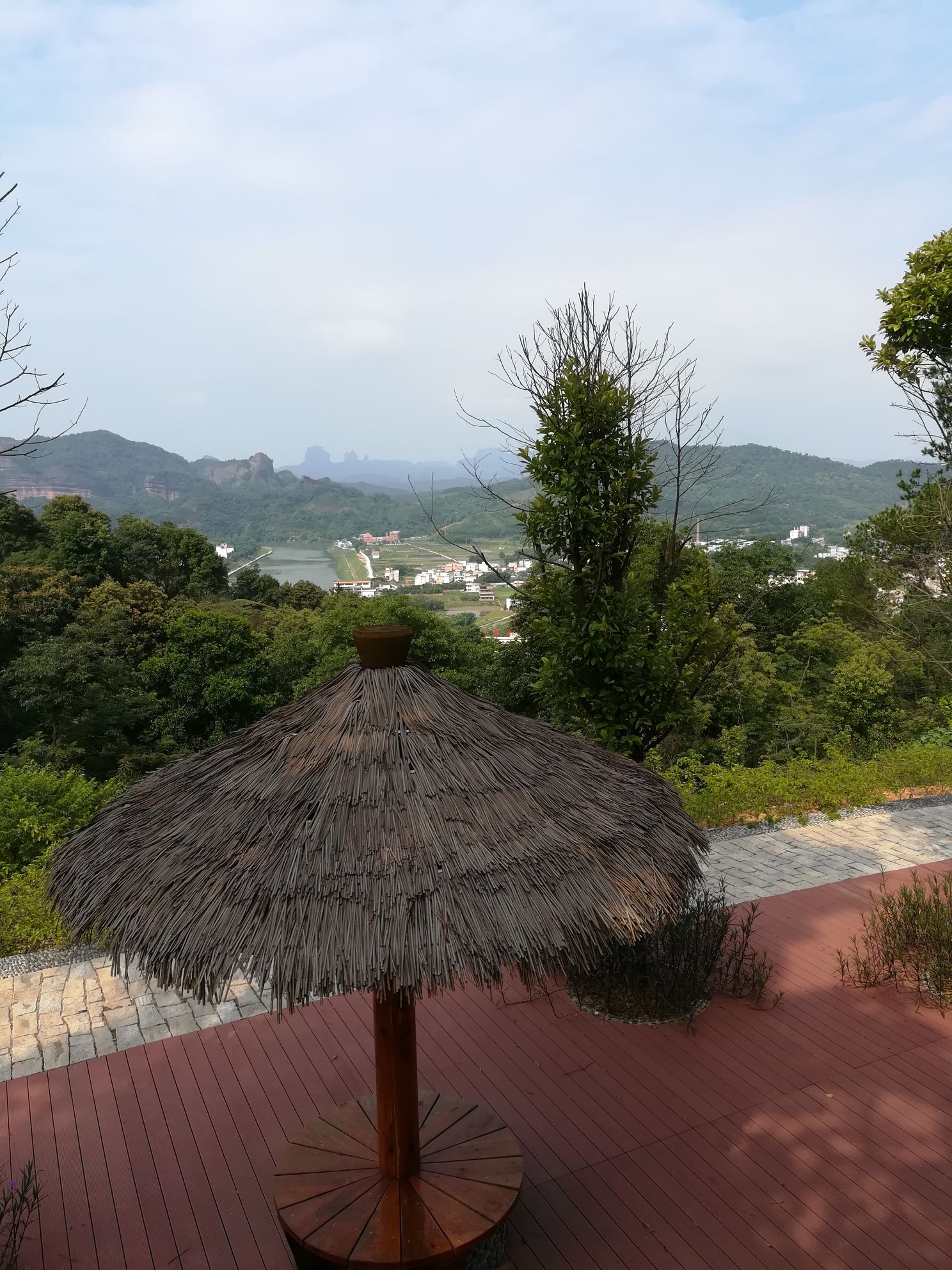 城南森林公园旅行图片 1