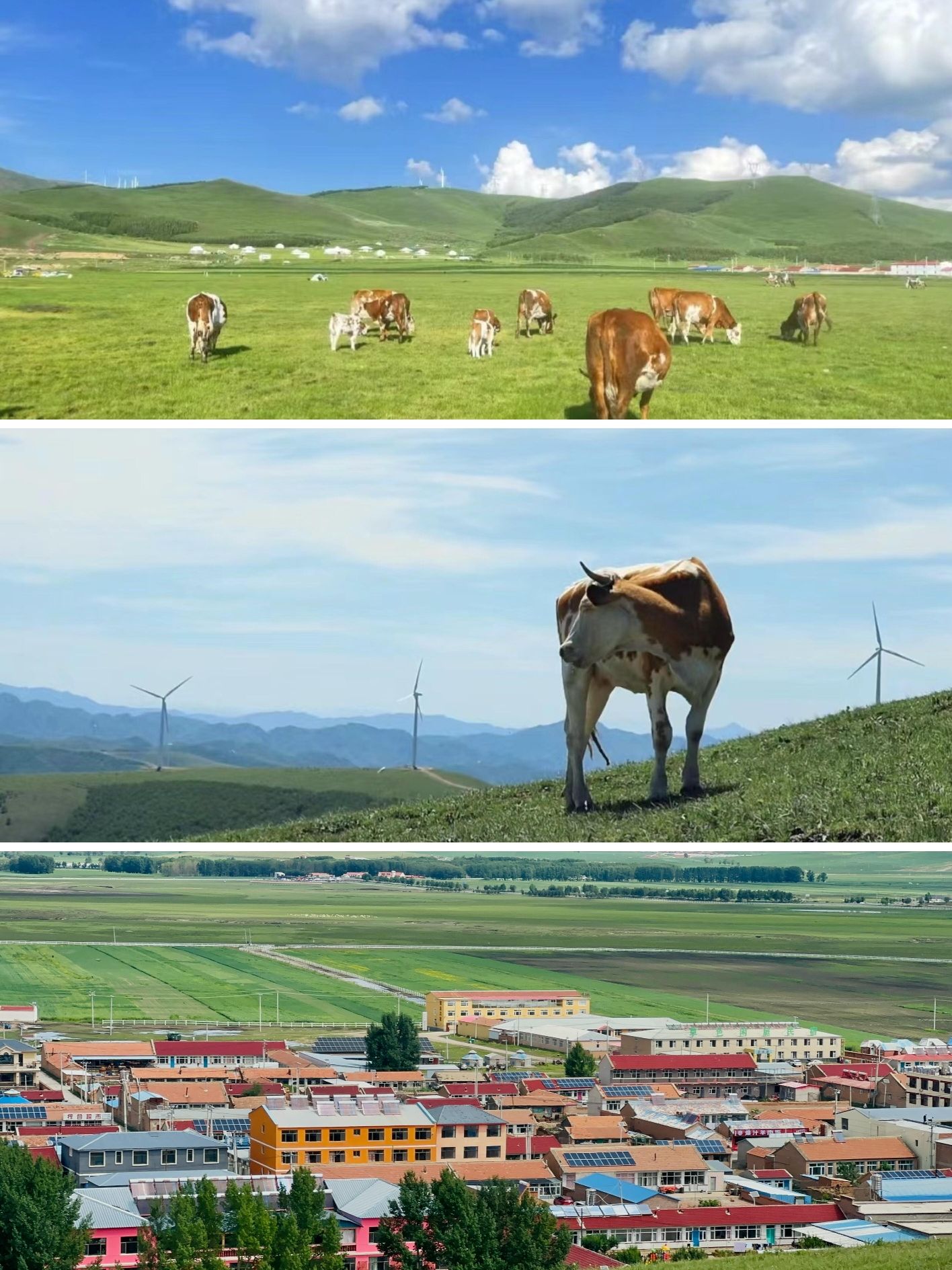 丰宁坝上草原旅行图片 3