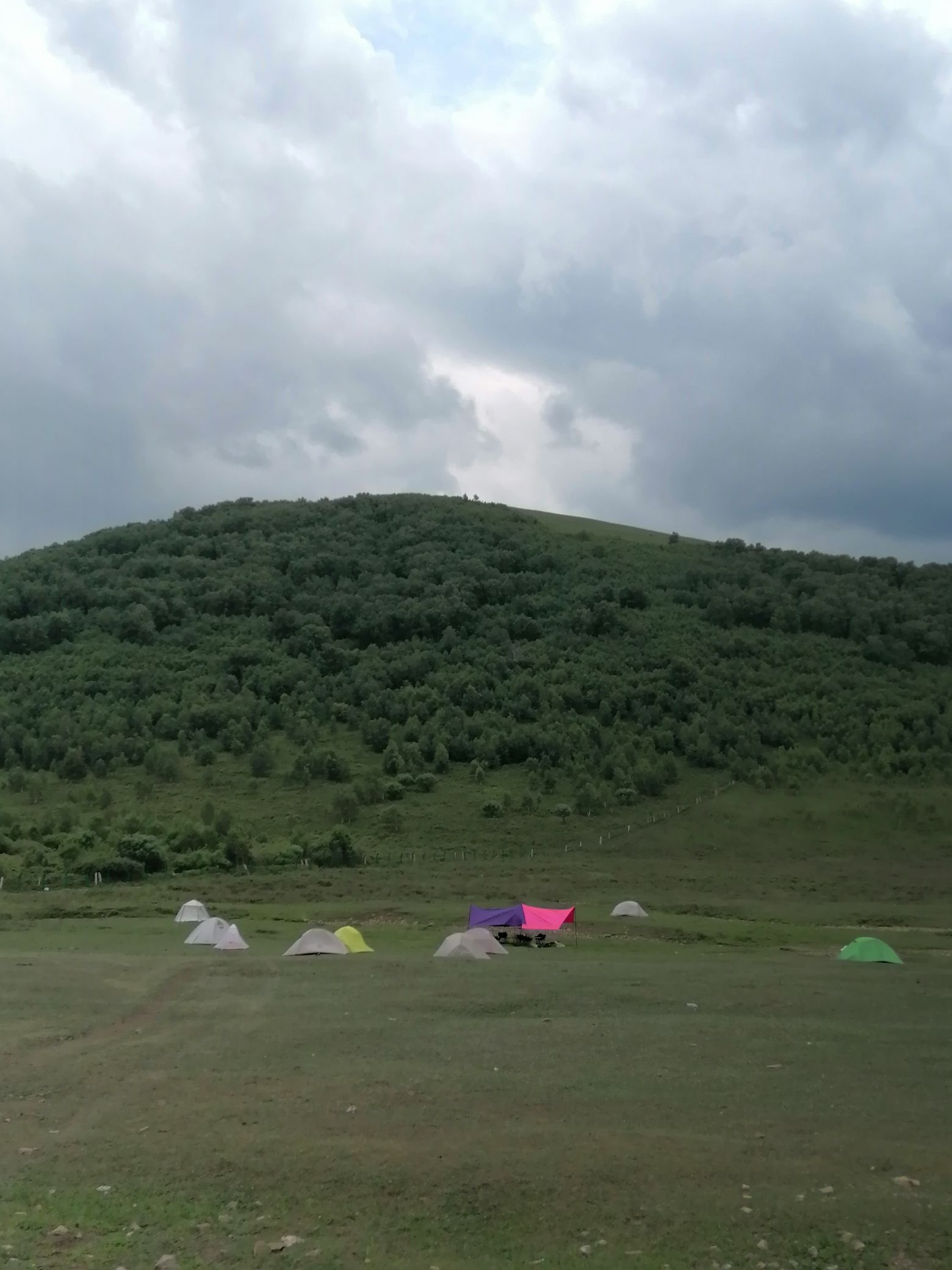 丰宁坝上草原旅行图片 2