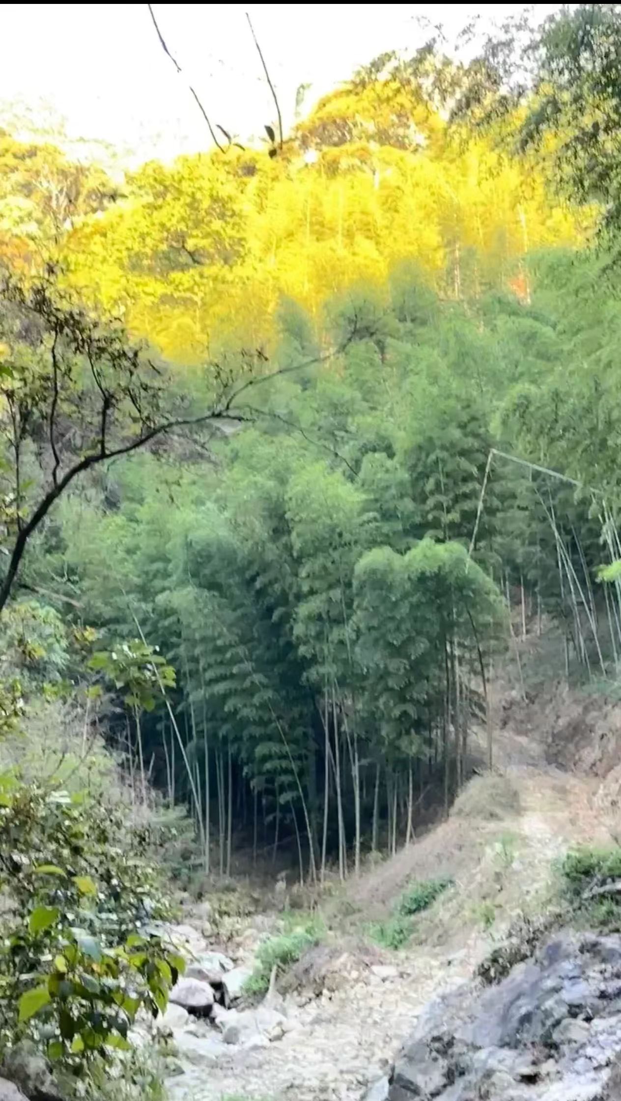 紫云山水库旅行图片 2