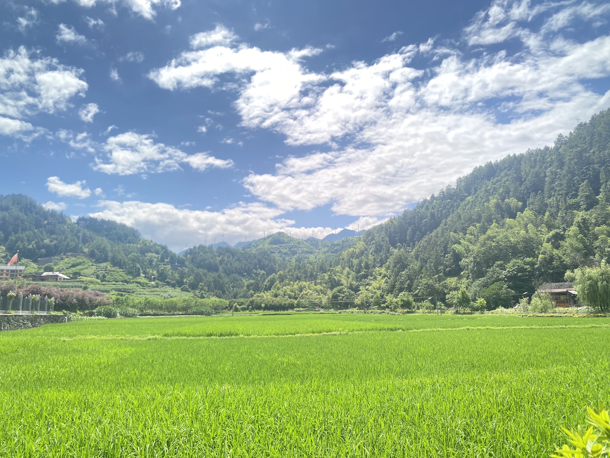 新化古桃花源旅行图片 2