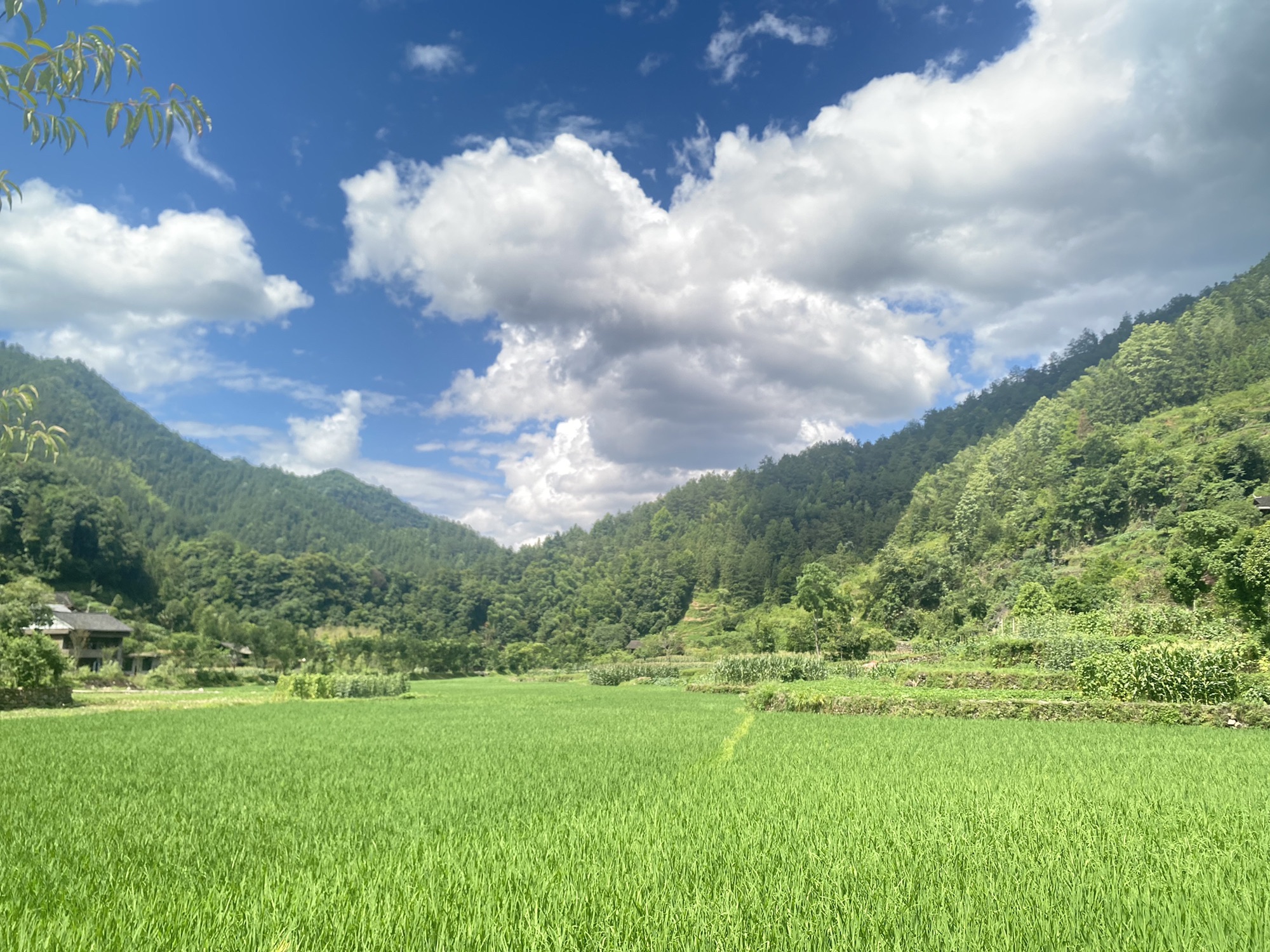 新化古桃花源旅行图片 3