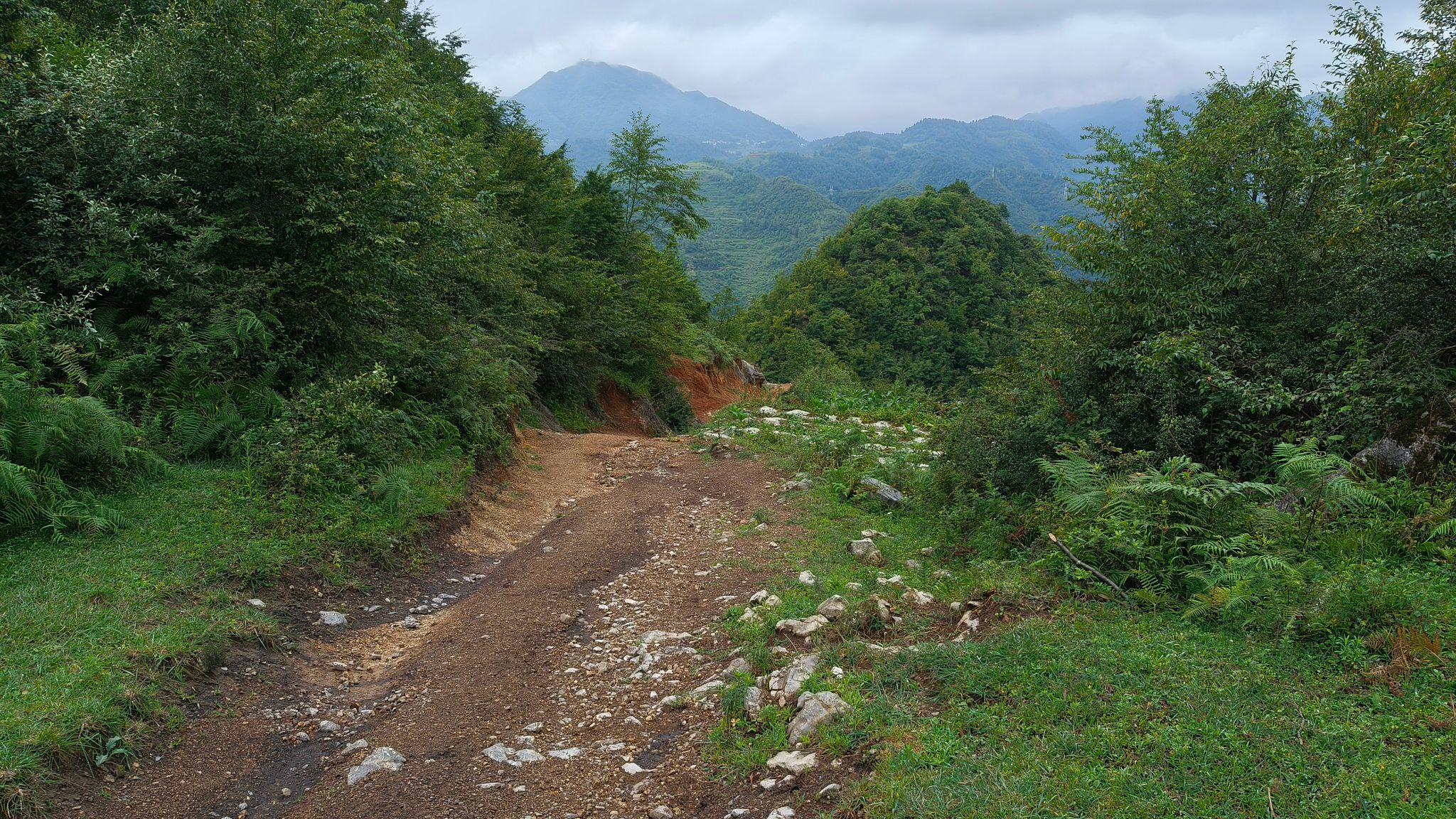 赫章国家森林公园
