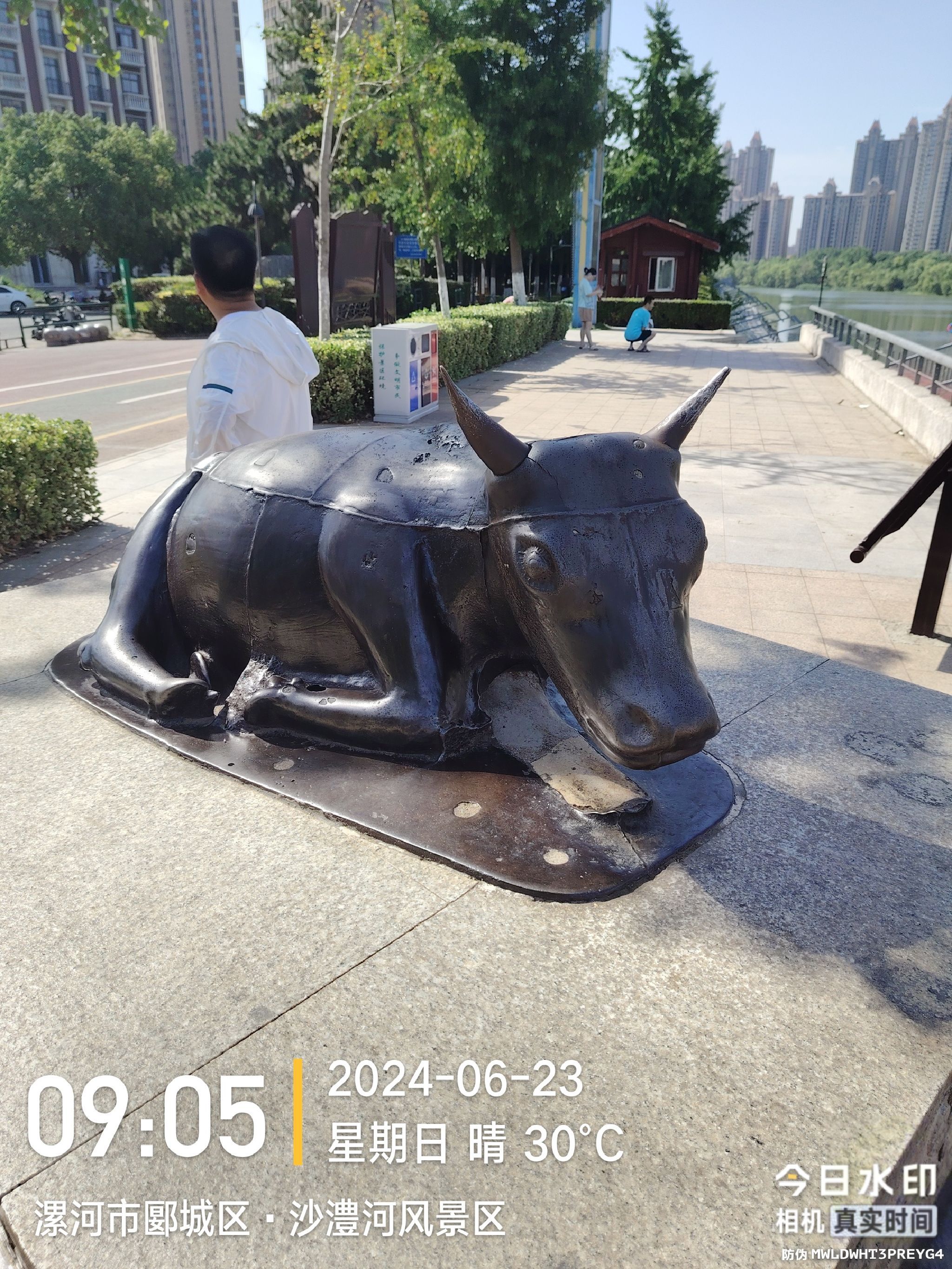 镇河铁牛旅行图片 1