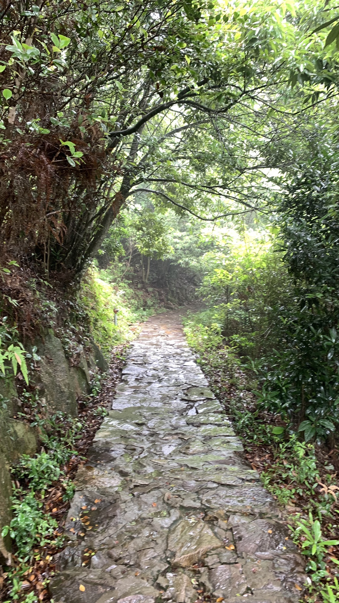 花岙岛旅行图片 2