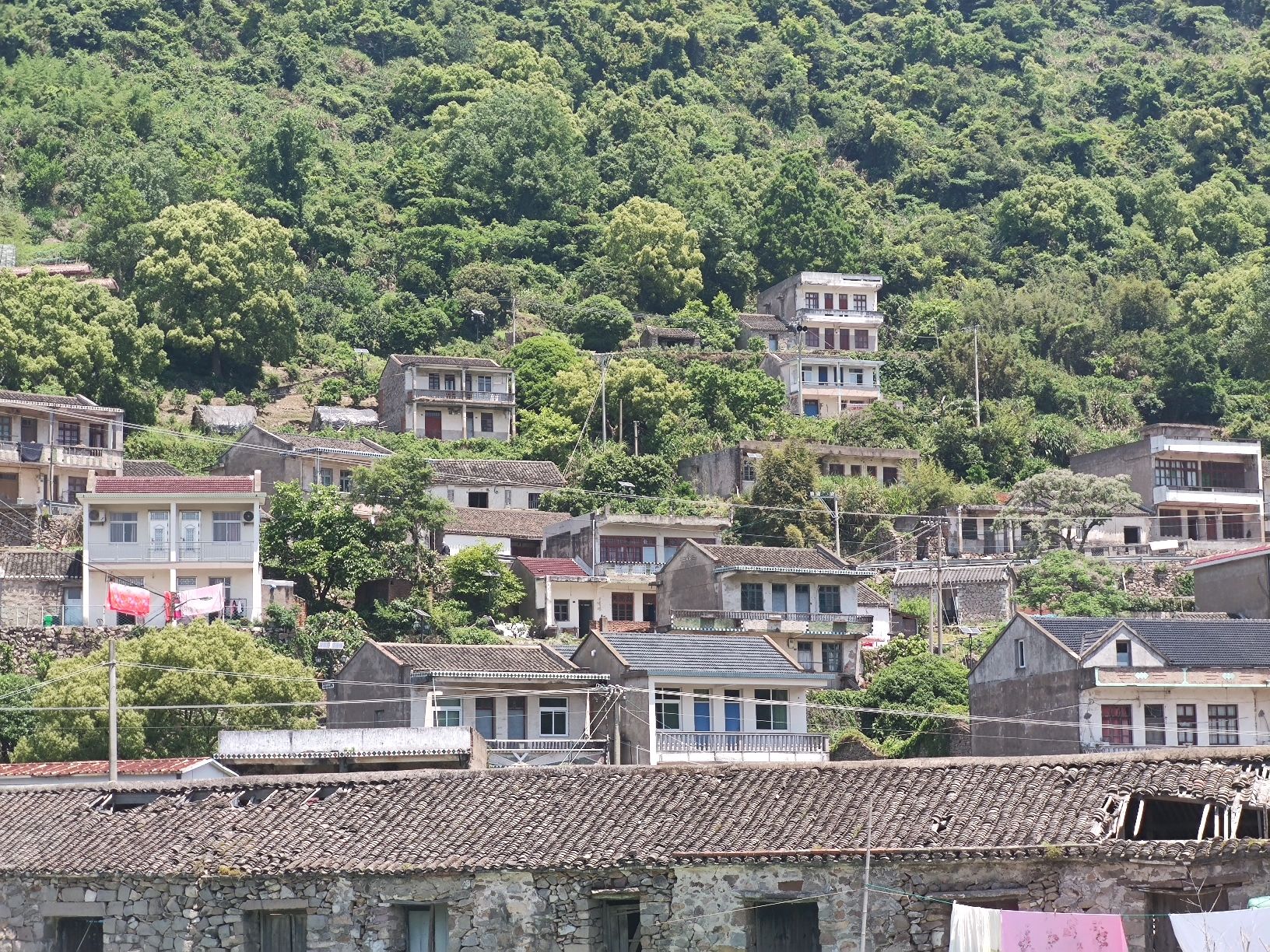花岙岛旅行图片 1
