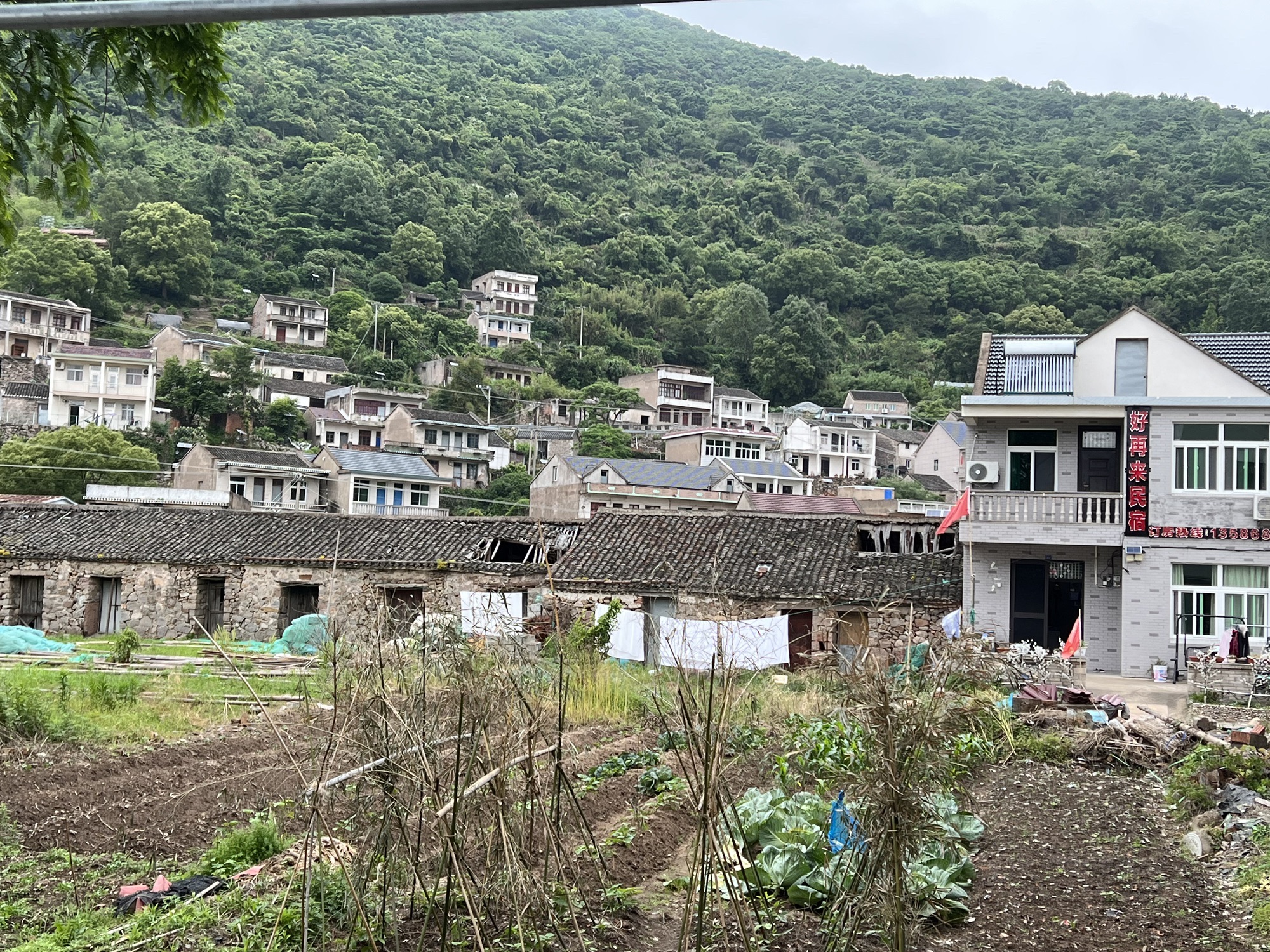 花岙岛旅行图片 1