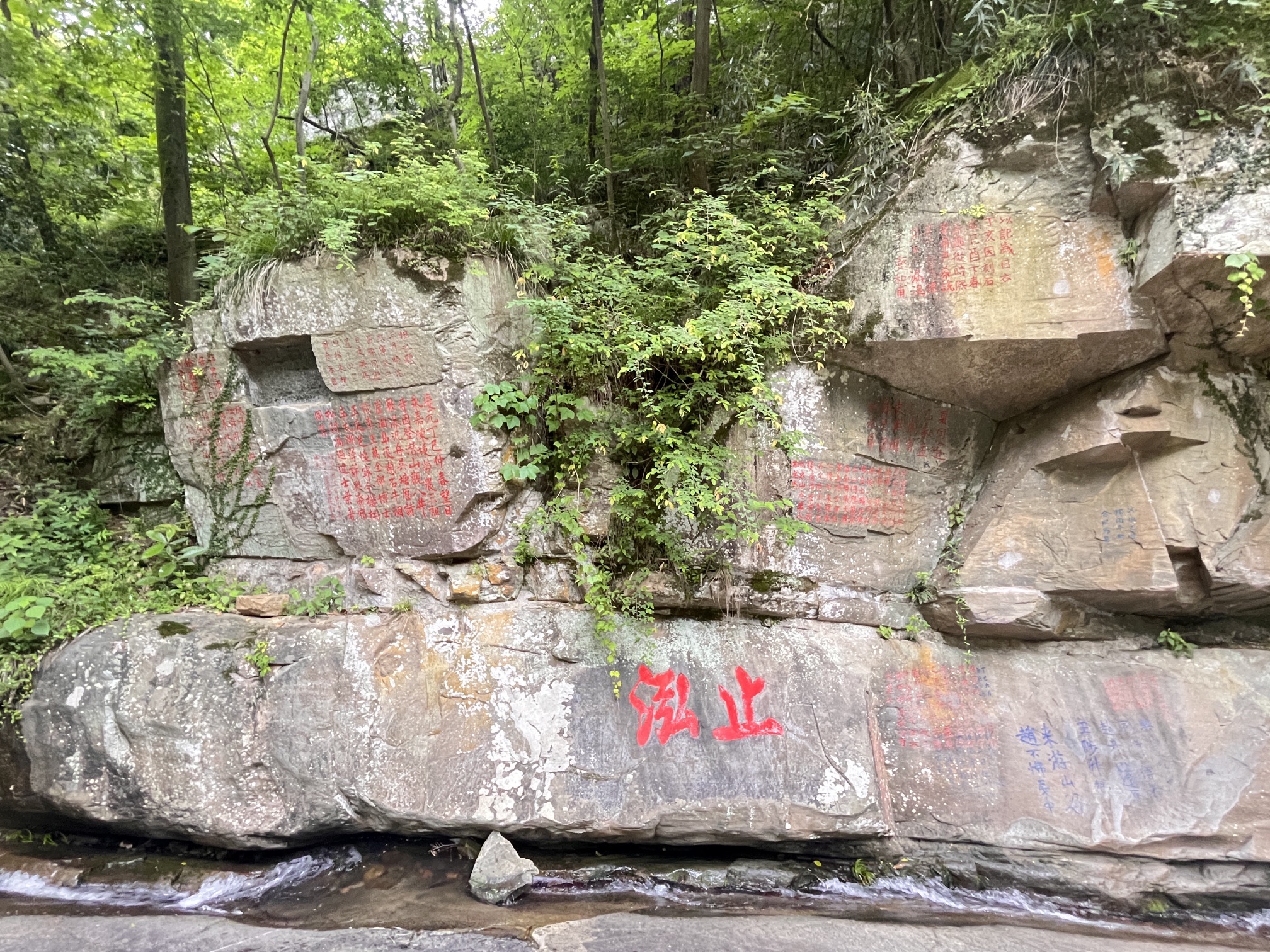 山谷流泉文化园旅行图片 2