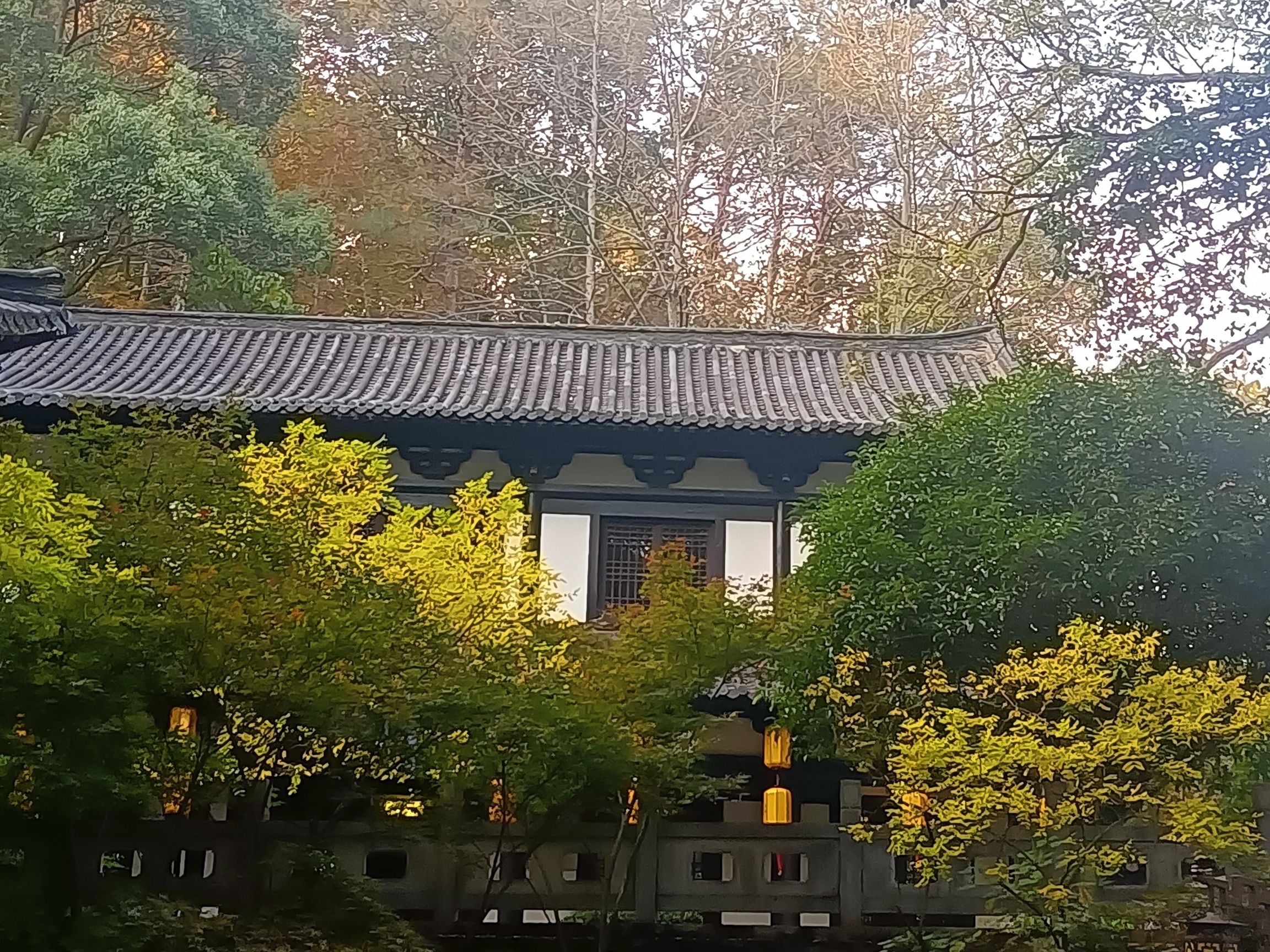 山谷流泉文化园旅行图片 2