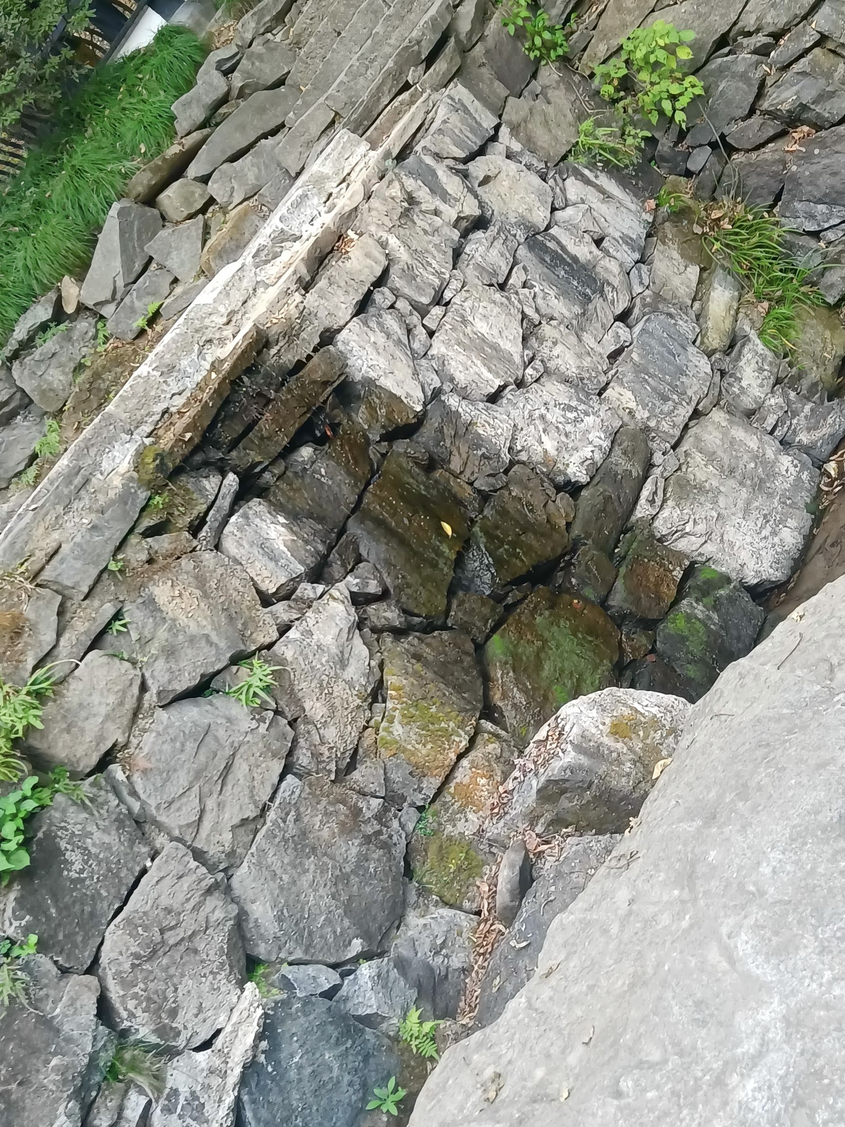 山谷流泉文化园旅行图片 1