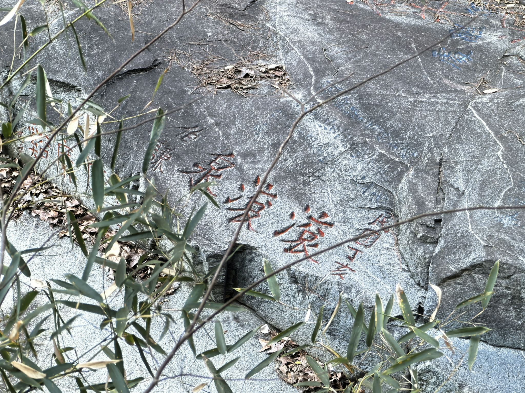 山谷流泉文化园旅行图片 1
