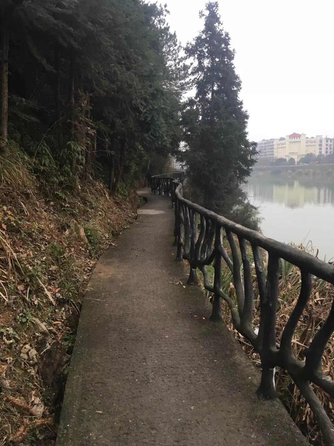 南崖-清水岩旅行图片 3