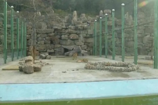 本溪市动植物园旅行图片 3
