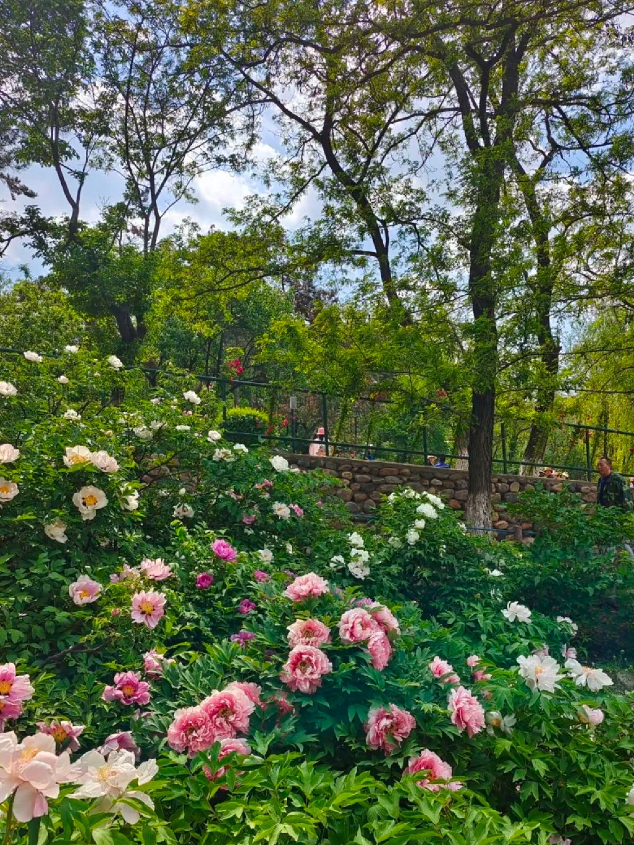 本溪市动植物园旅行图片 1