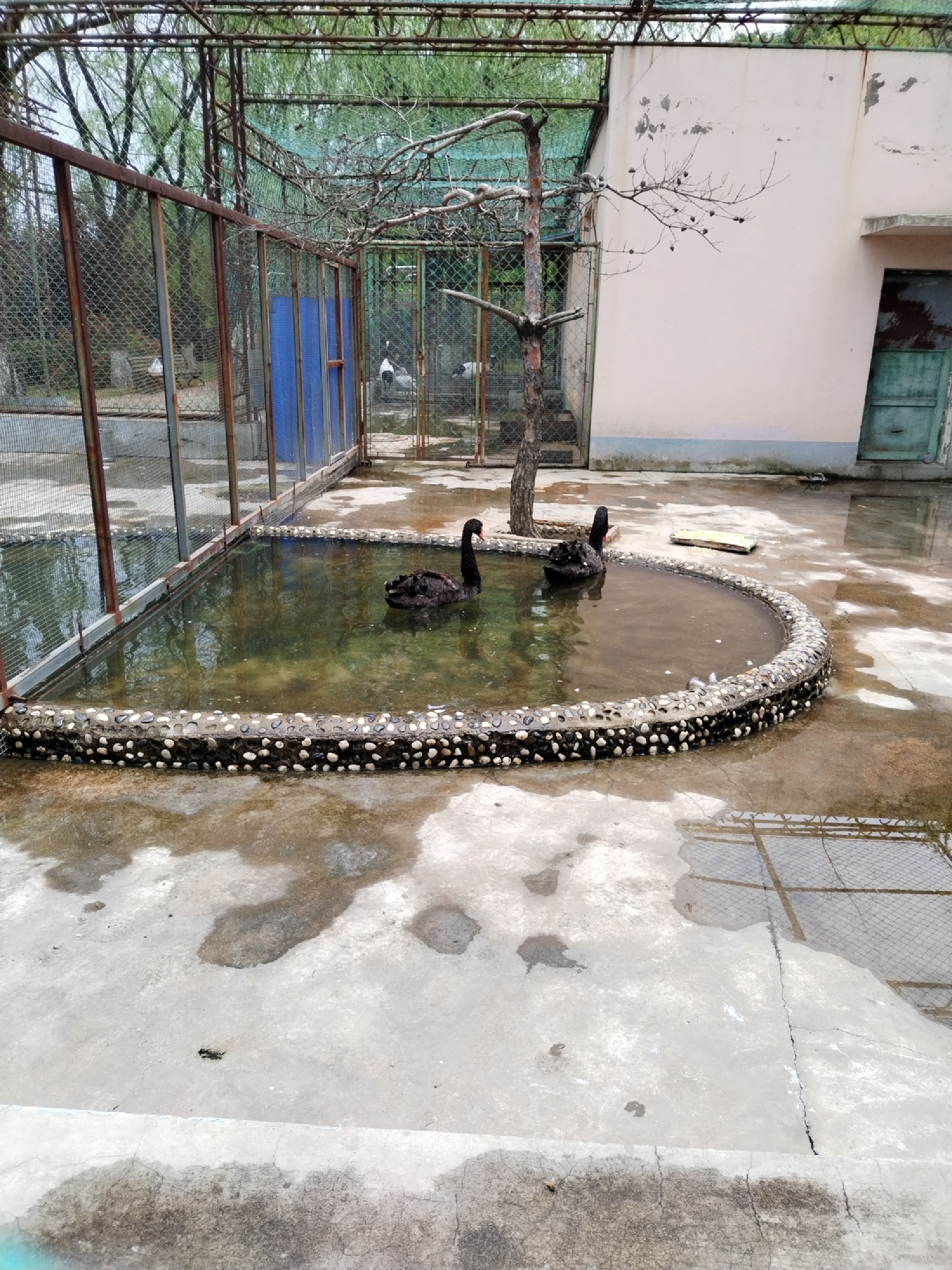 本溪市动植物园旅行图片 1