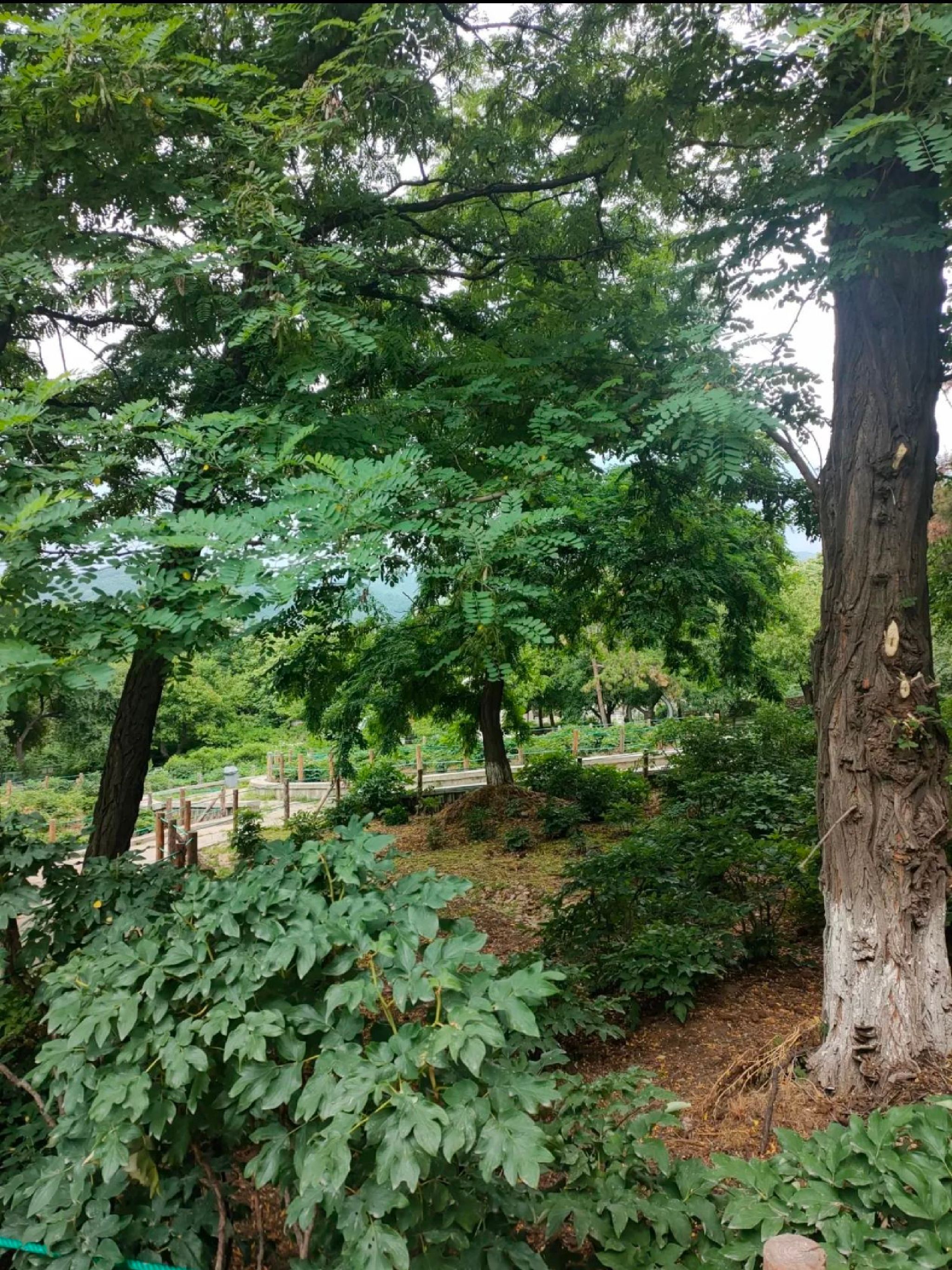 本溪市动植物园旅行图片 2