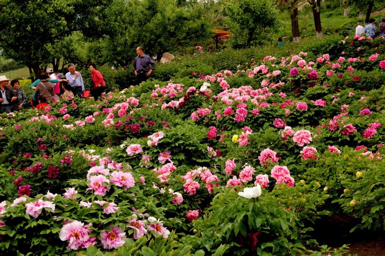 本溪市动植物园旅行图片 1