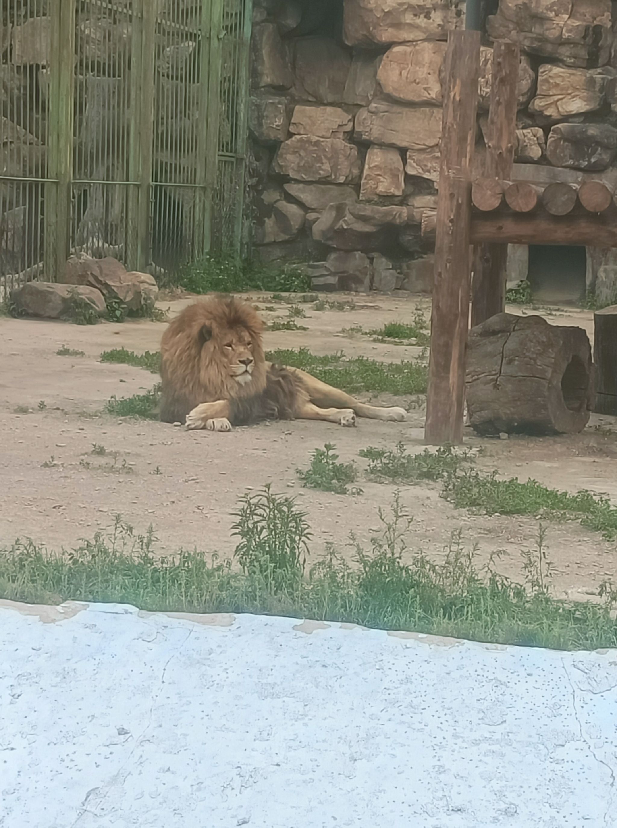 本溪市动植物园旅行图片 1