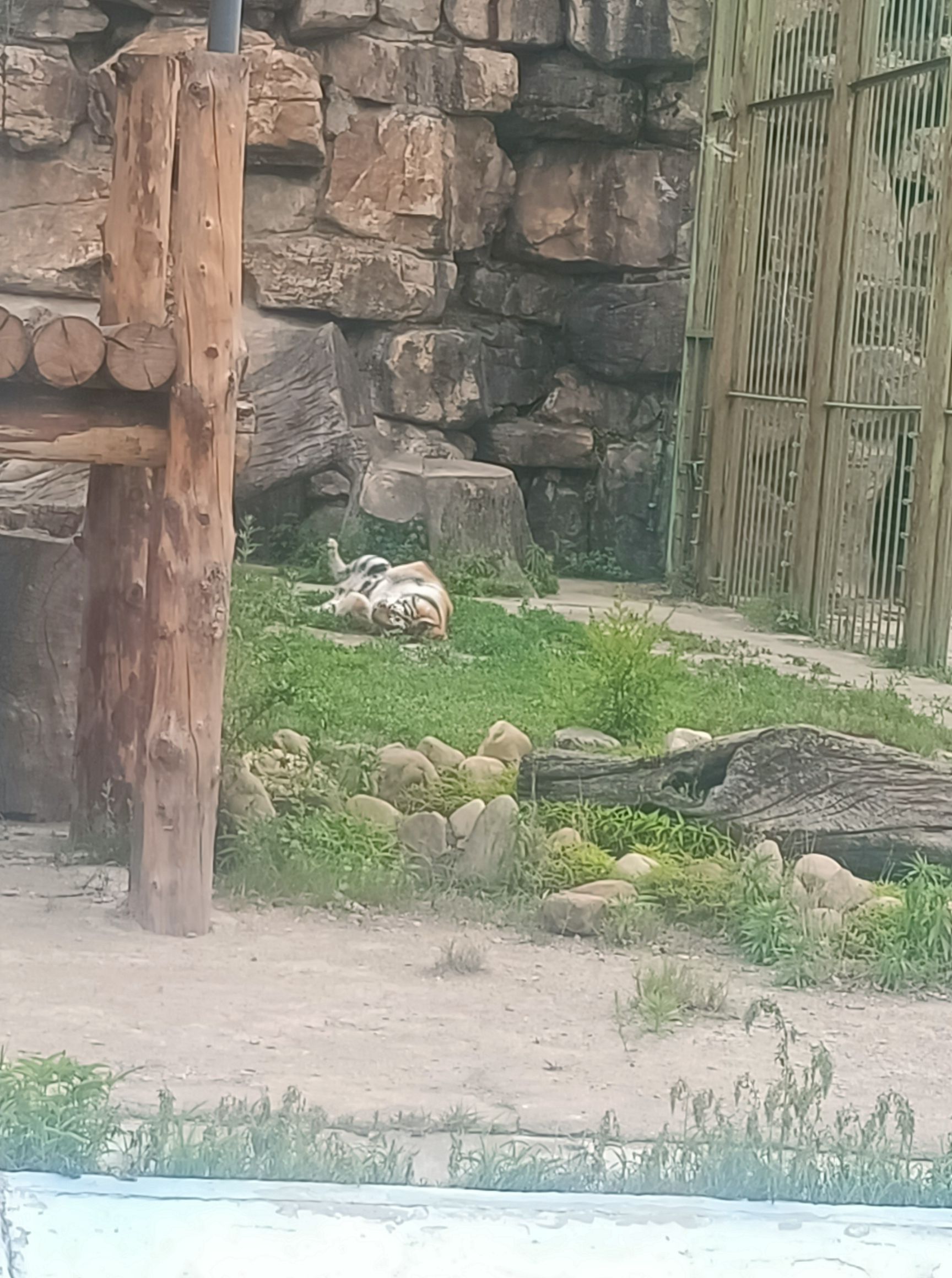 本溪市动植物园旅行图片 3