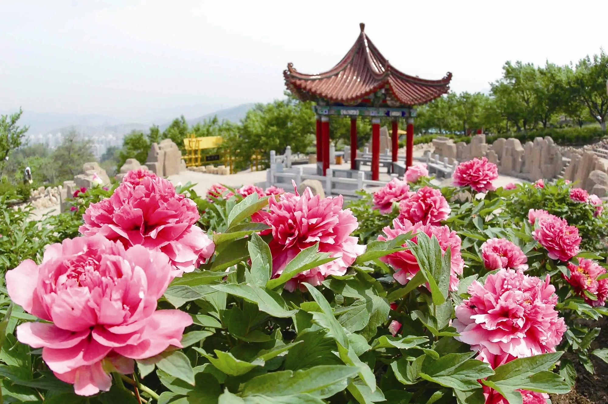 本溪市动植物园旅行图片 2