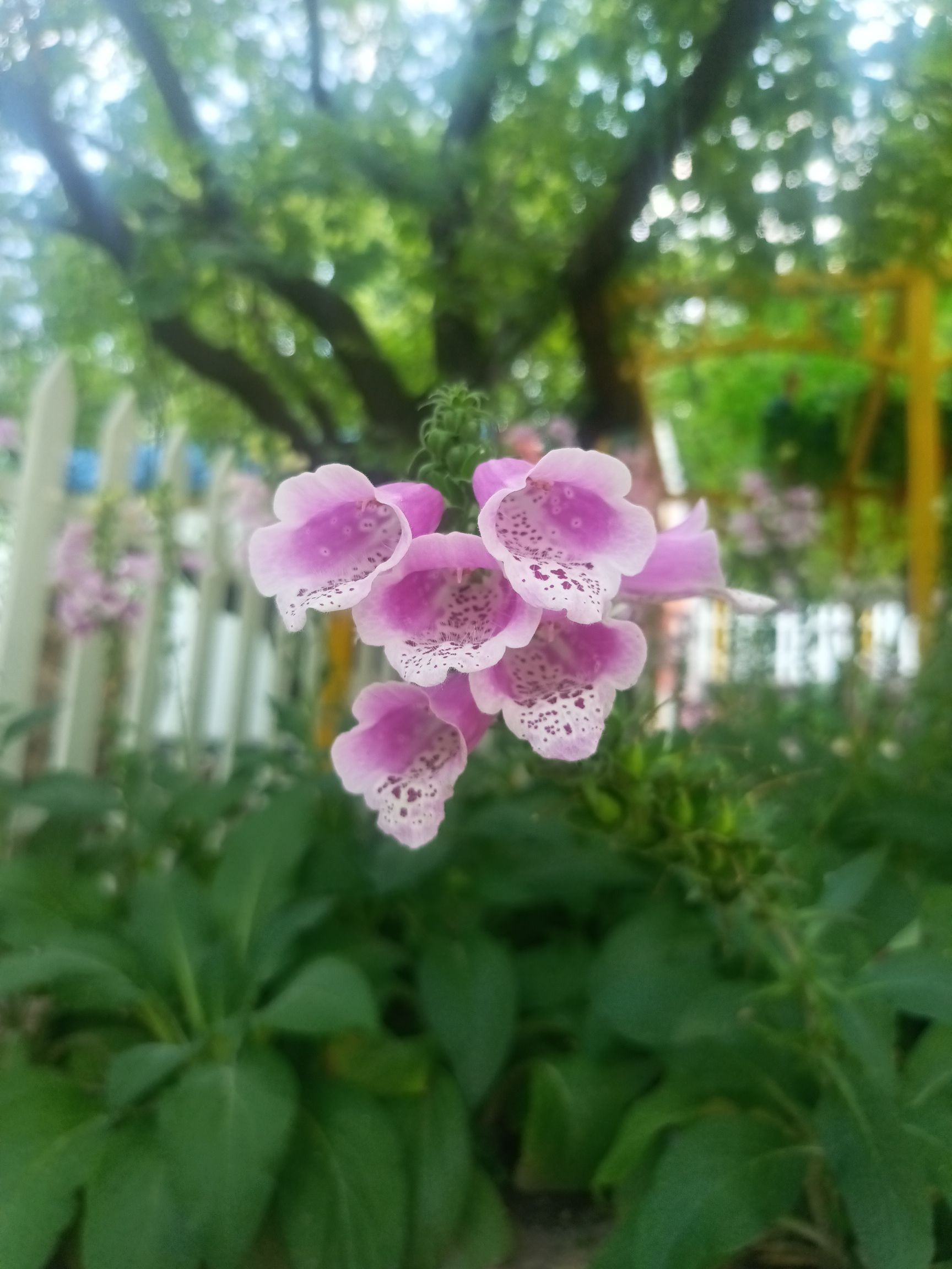 本溪市动植物园旅行图片 2