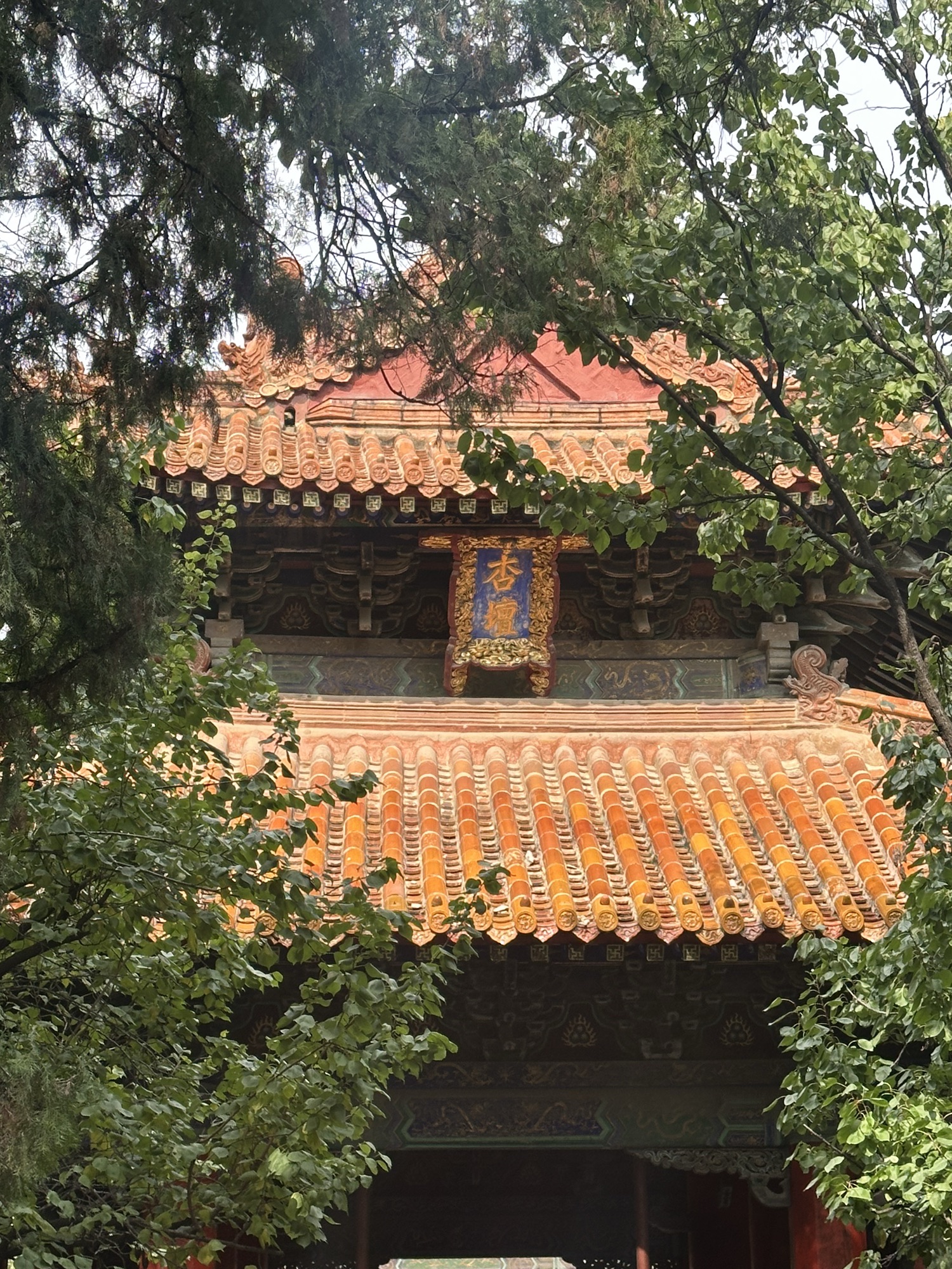 曲阜明故城(三孔)旅游区旅行图片 2