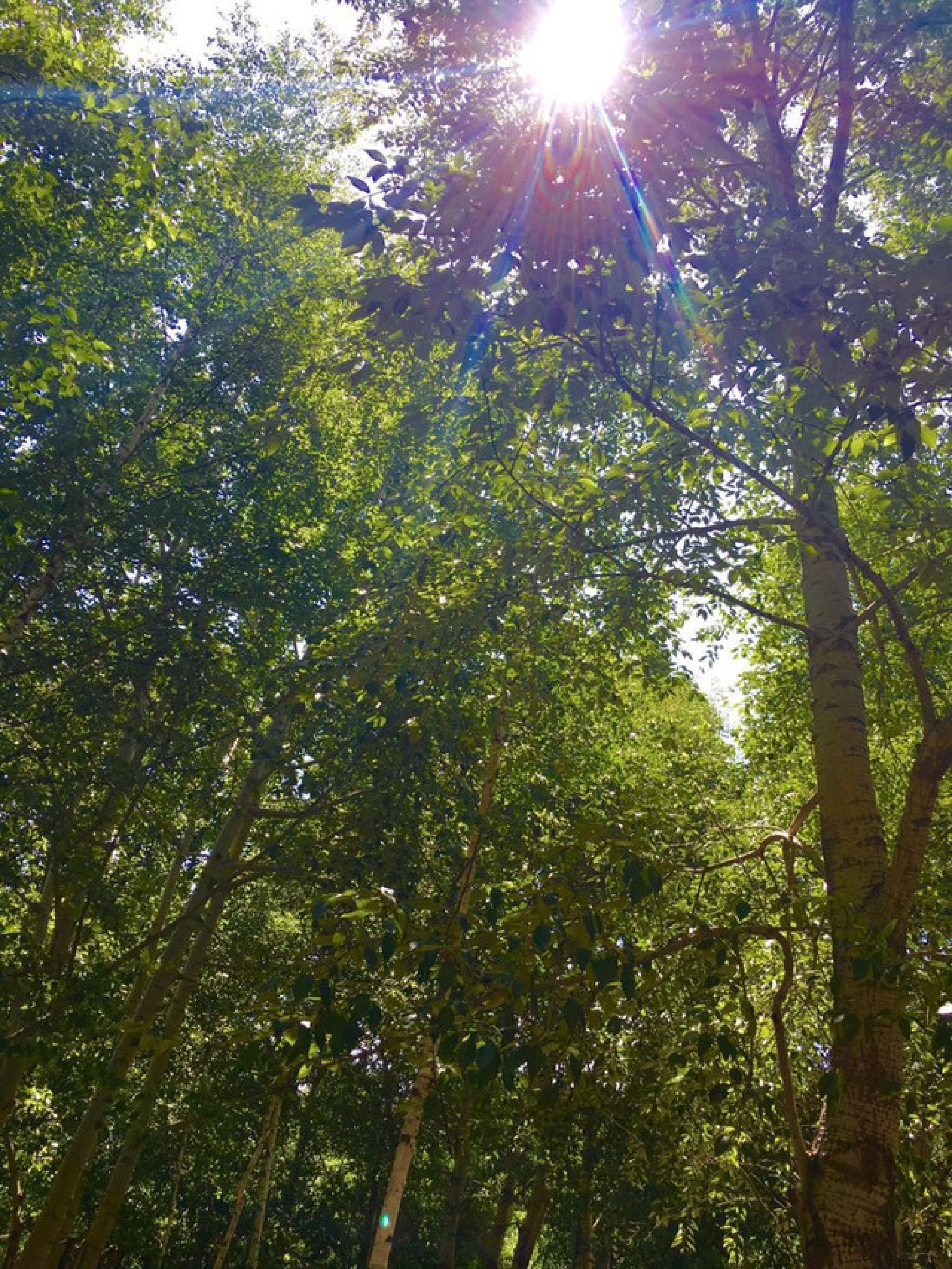 道须沟景区(暂停开放)旅行图片 1