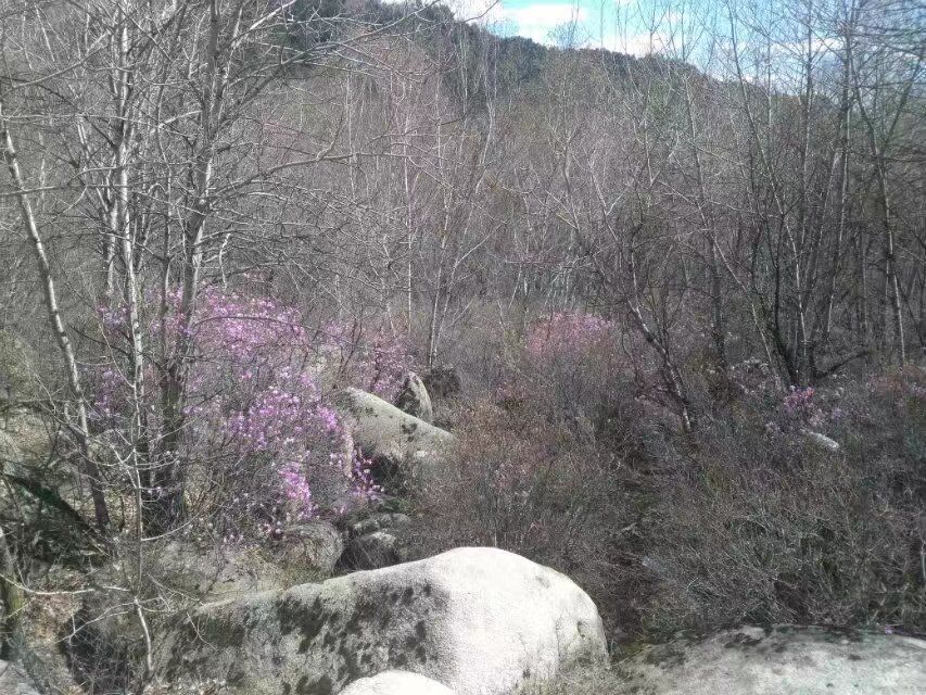 道须沟景区(暂停开放)旅行图片 3