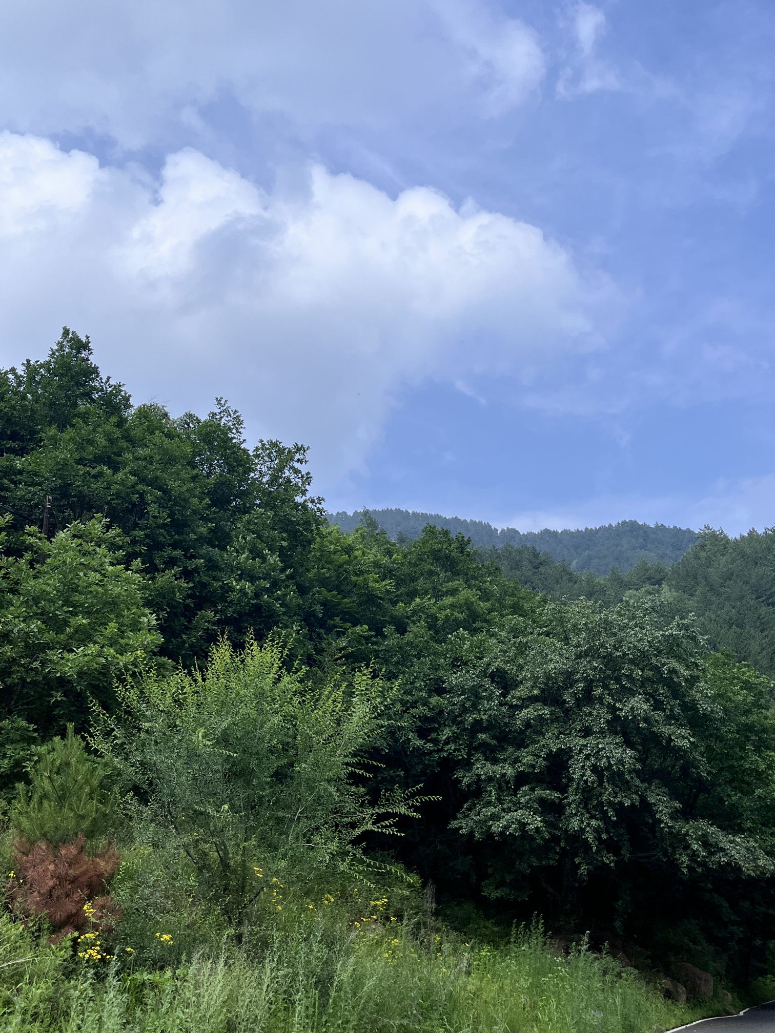 道须沟景区(暂停开放)旅行图片 3