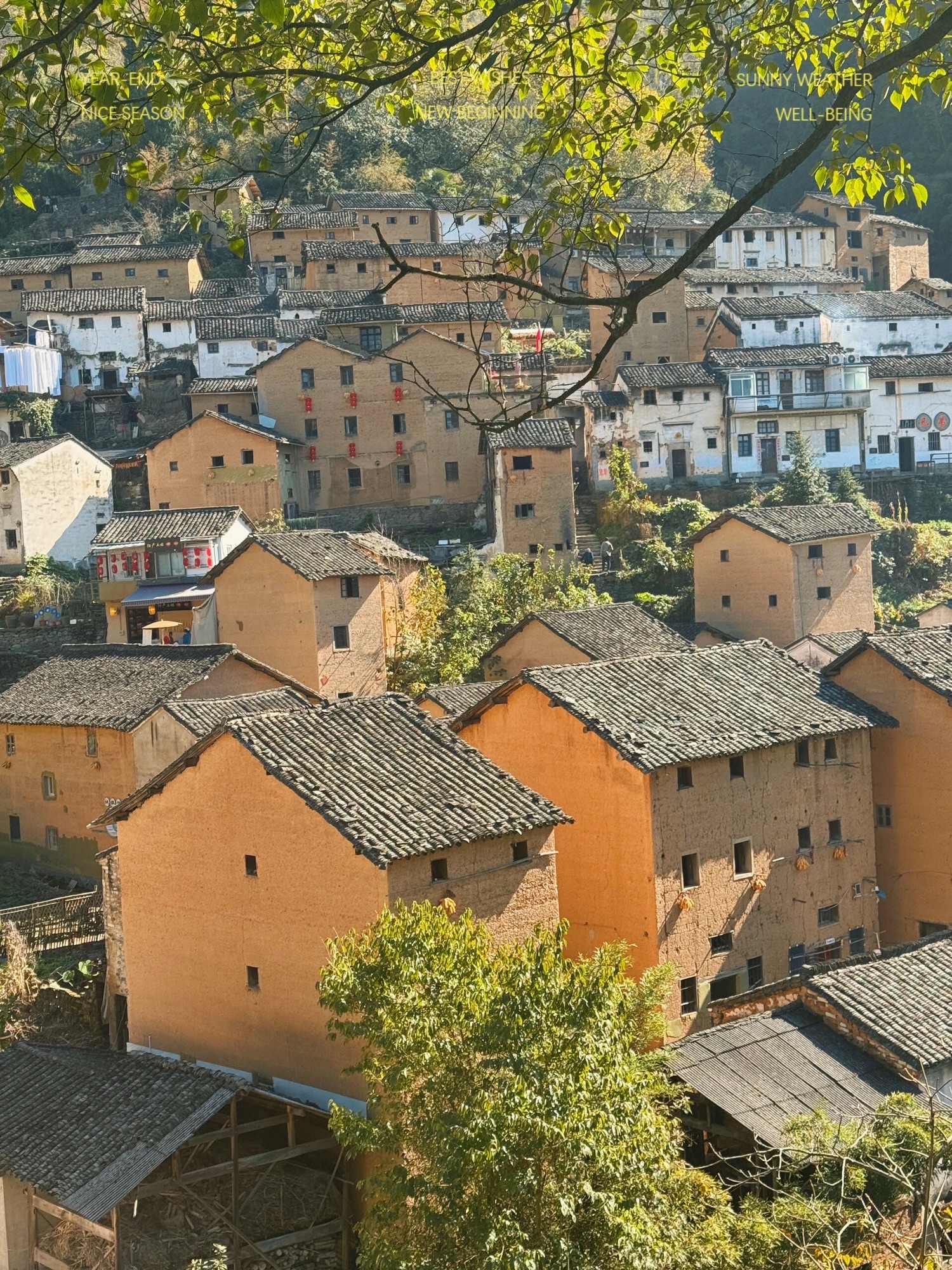 石潭景区旅行图片 3