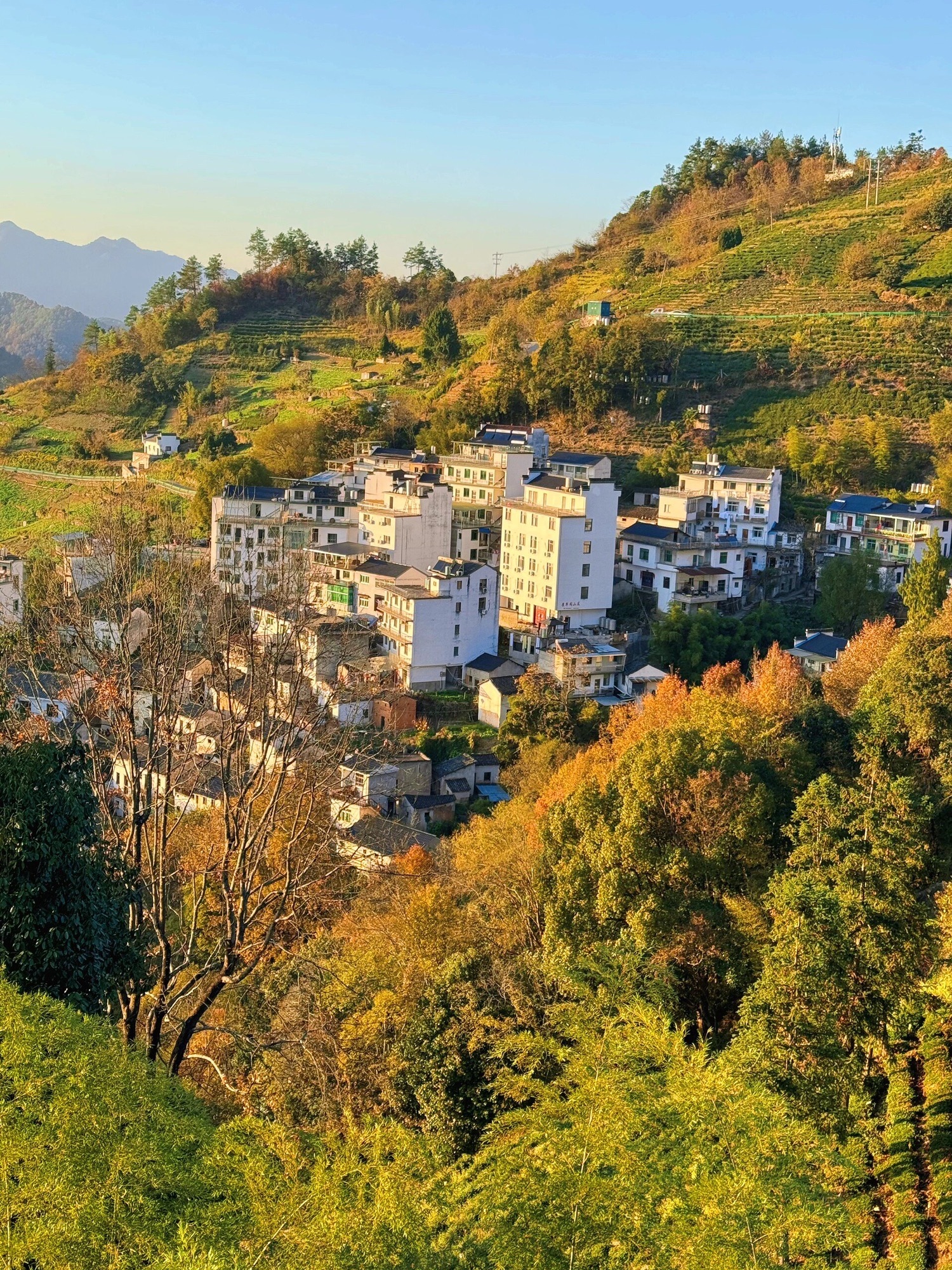 石潭景区旅行图片 2