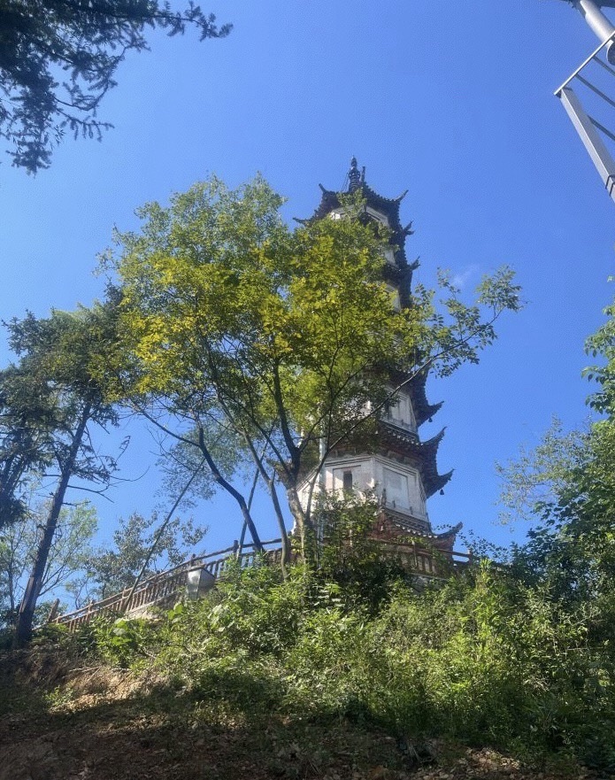 云鸿塔旅行图片 3