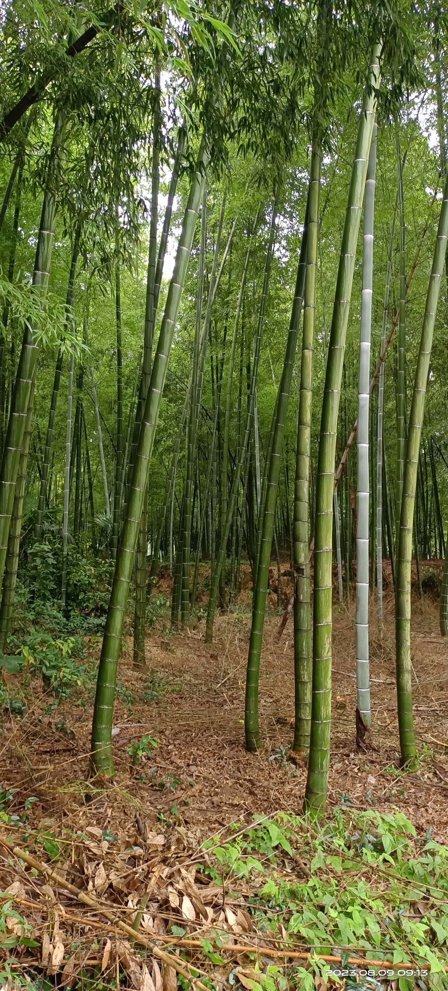 铁店窑遗址旅行图片 3