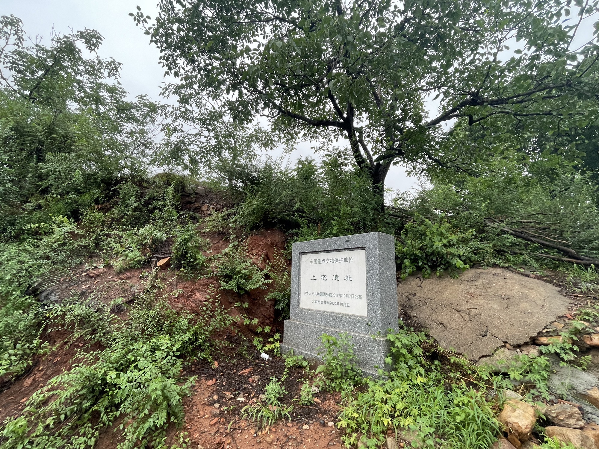 上宅文化遗址旅行图片 2