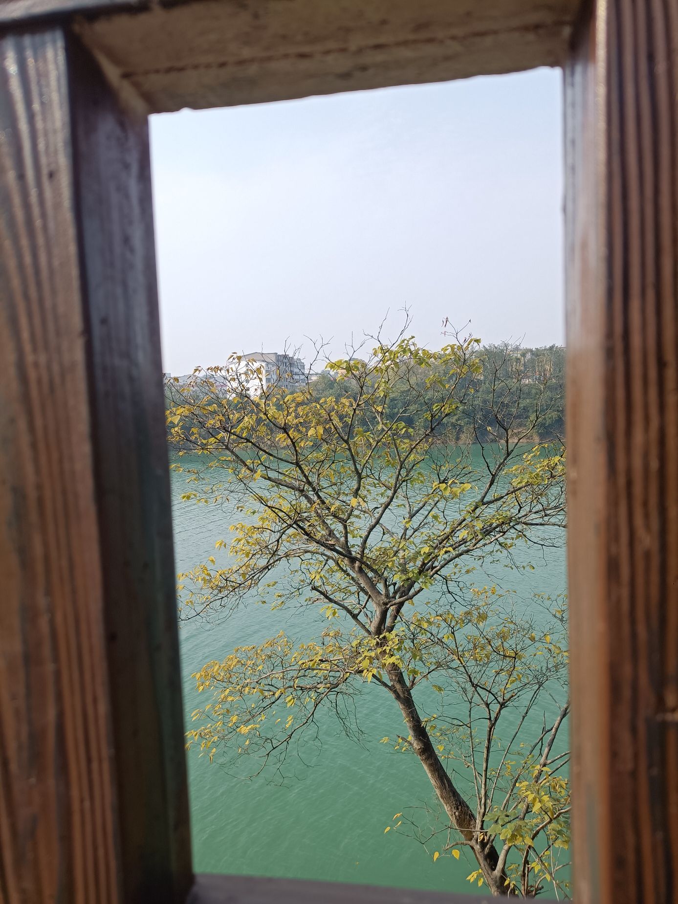 回龙塔旅行图片 3