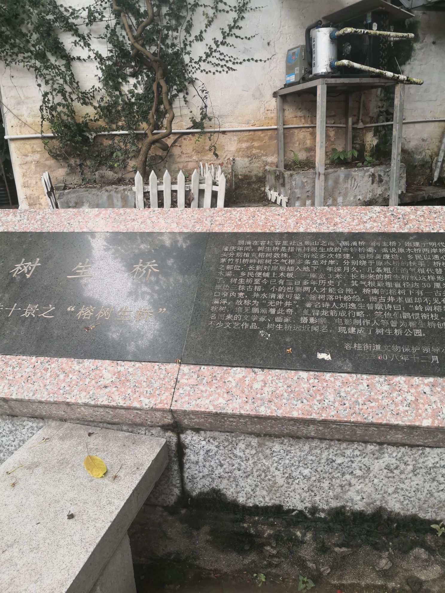 树生桥公园旅行图片 3