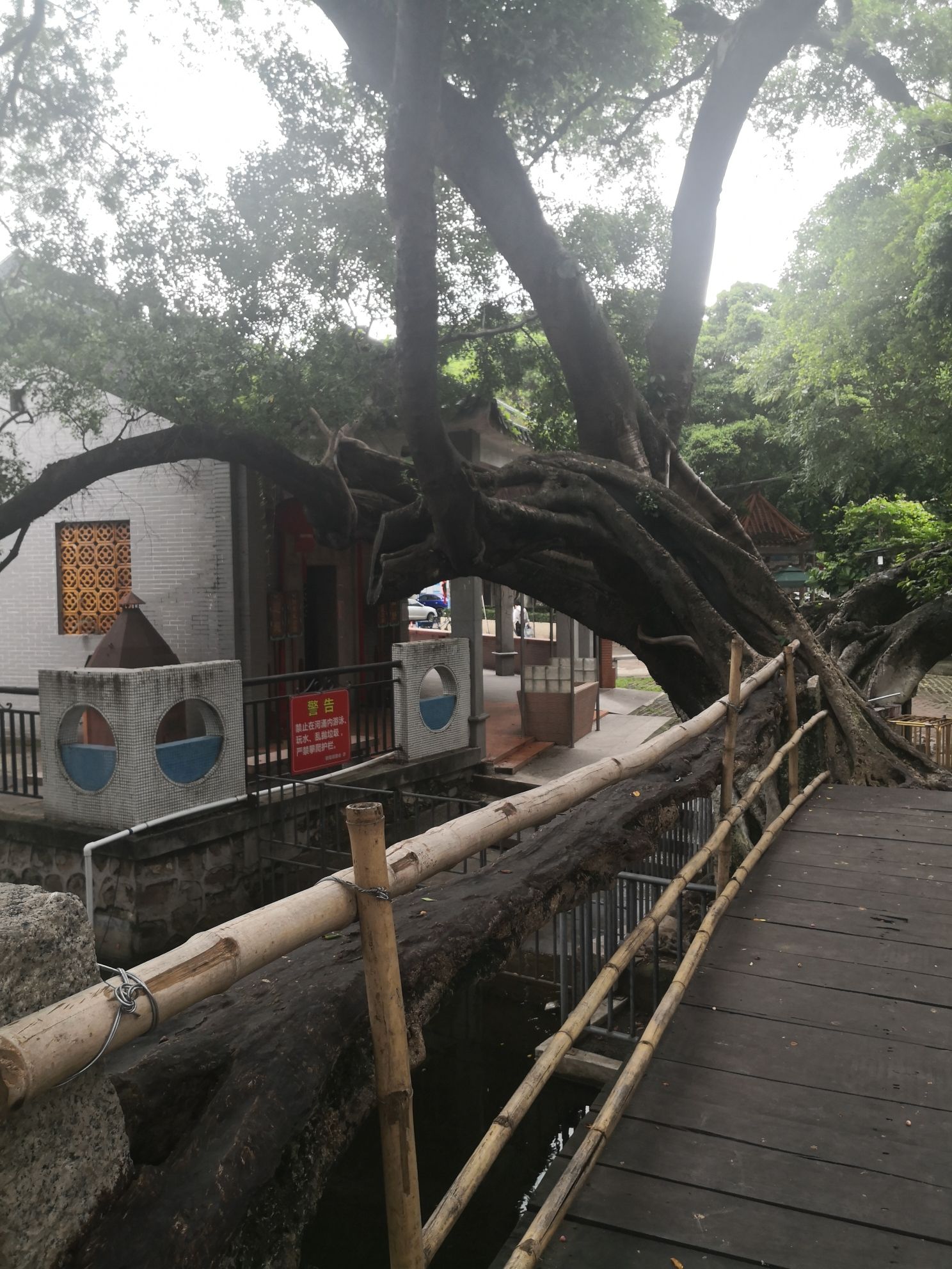 树生桥公园旅行图片 2