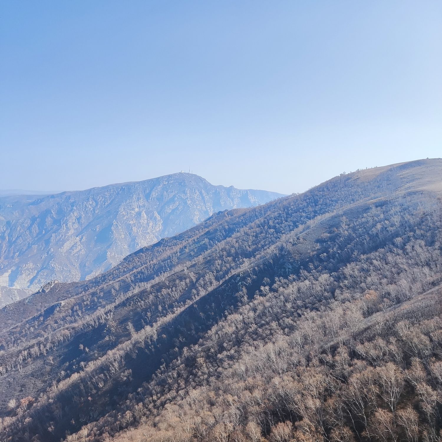 哈达门国家森林公园(暂停开放)旅行图片 3