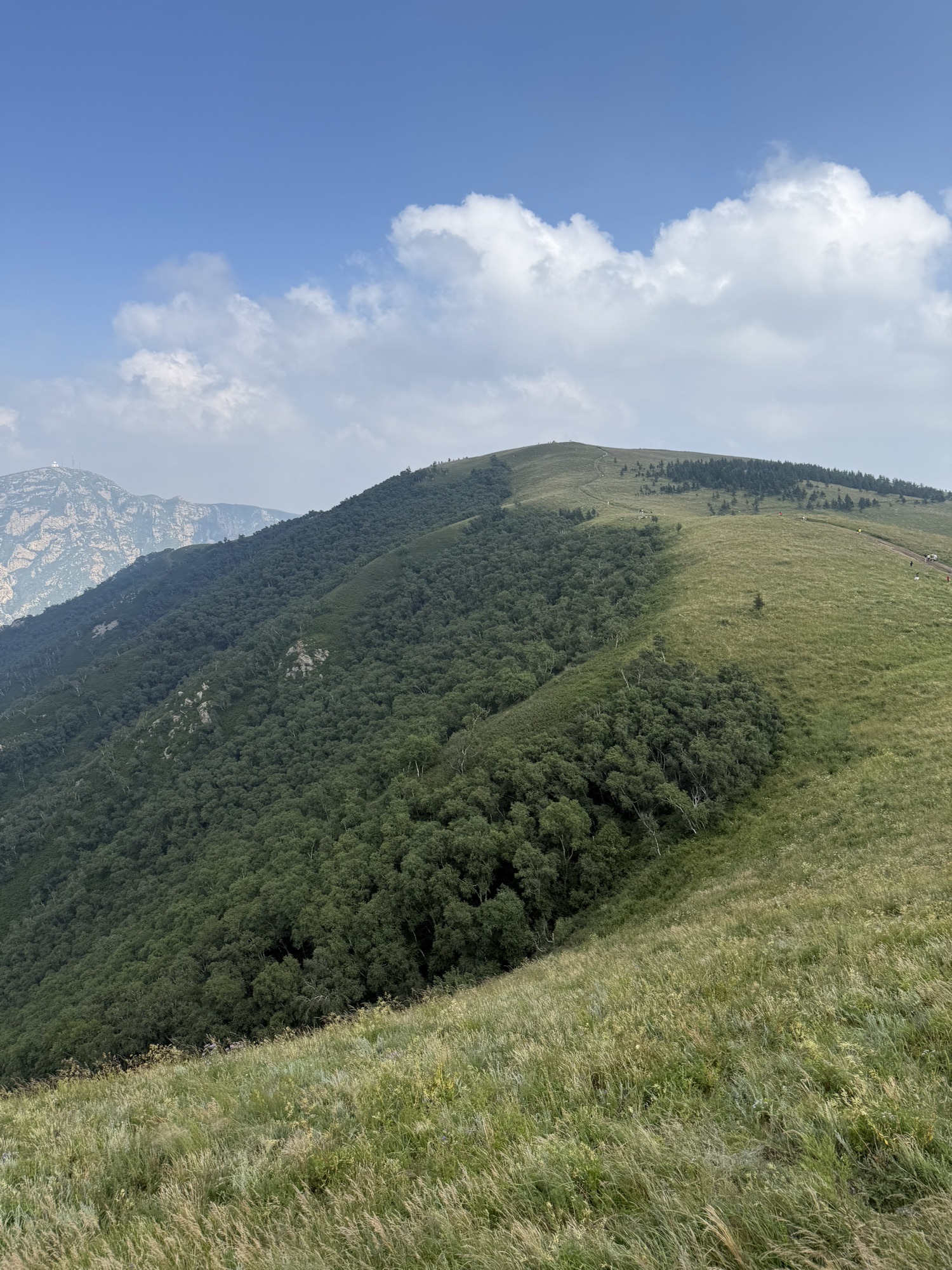 哈达门国家森林公园(暂停开放)旅行图片 2