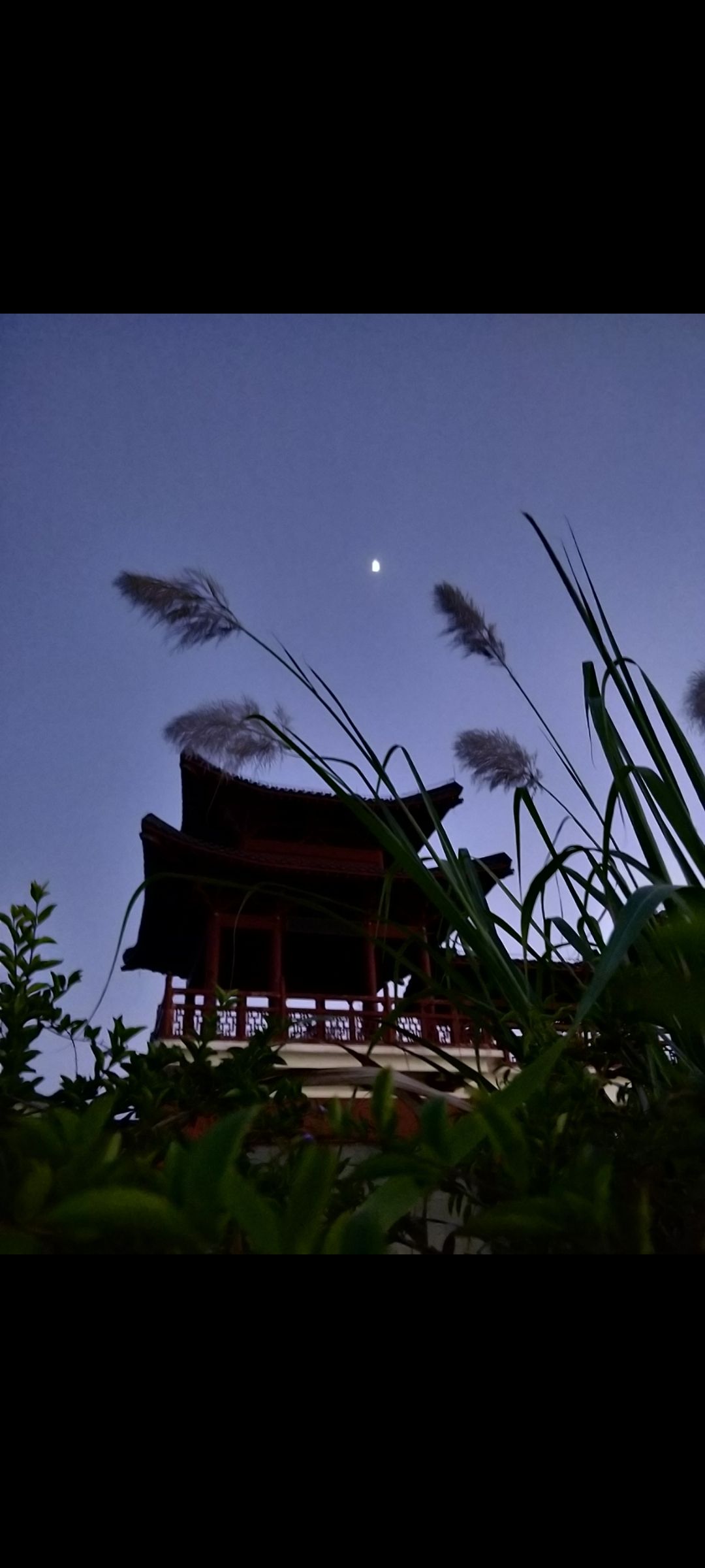 朱汝珍公园旅行图片 2