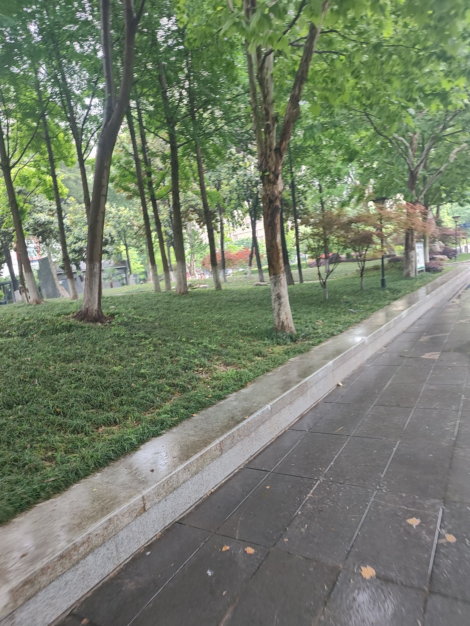 二七公园旅行图片 3