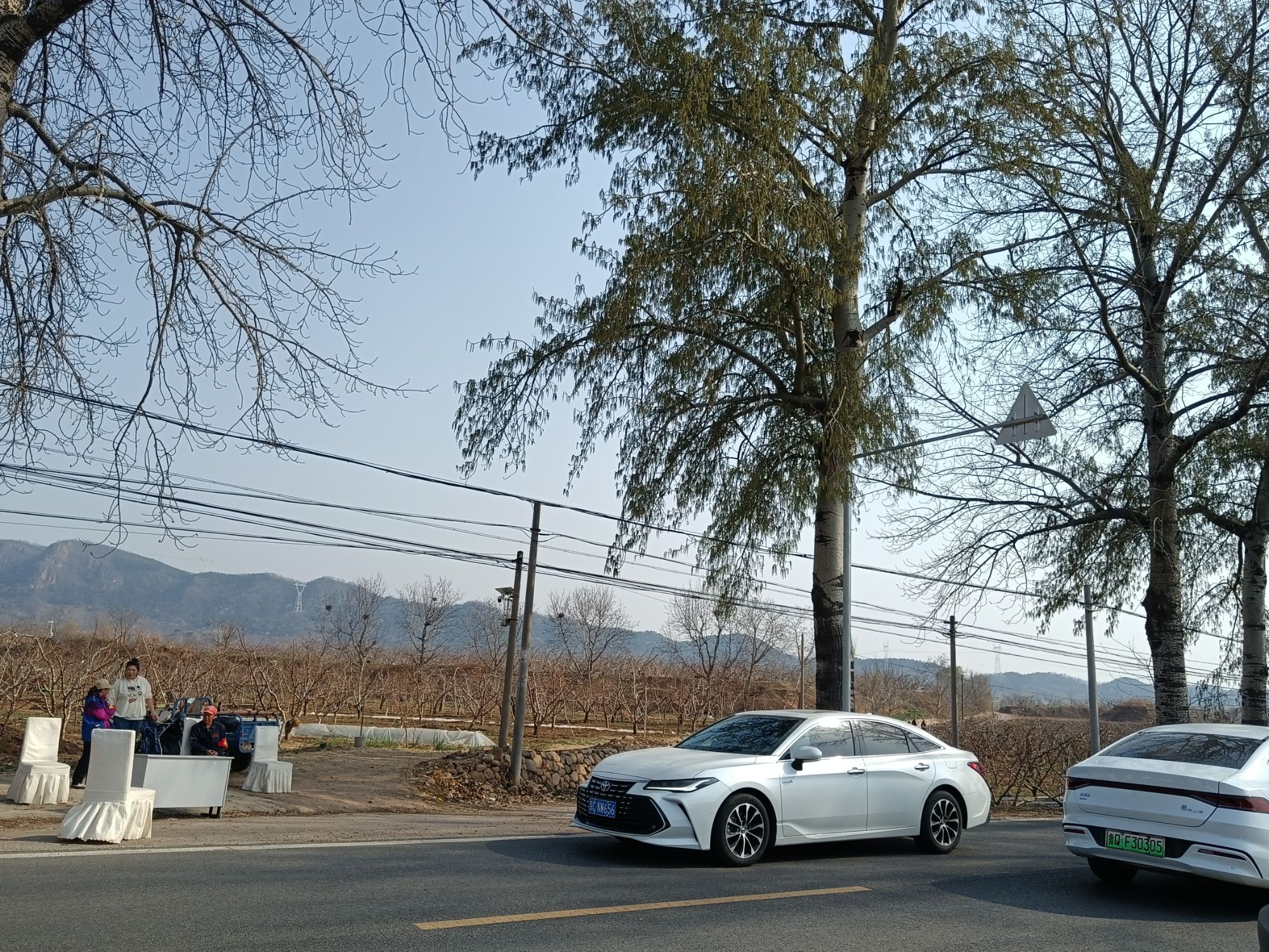 平谷桃花观赏区旅行图片 2