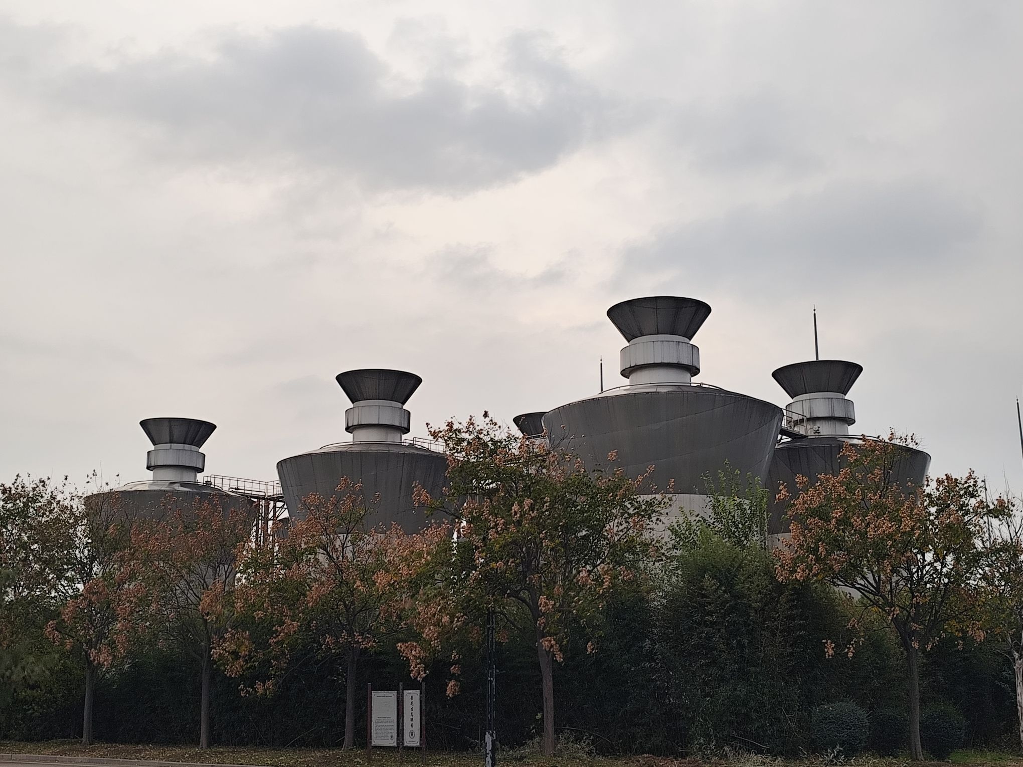 景芝酒之城旅行图片 3