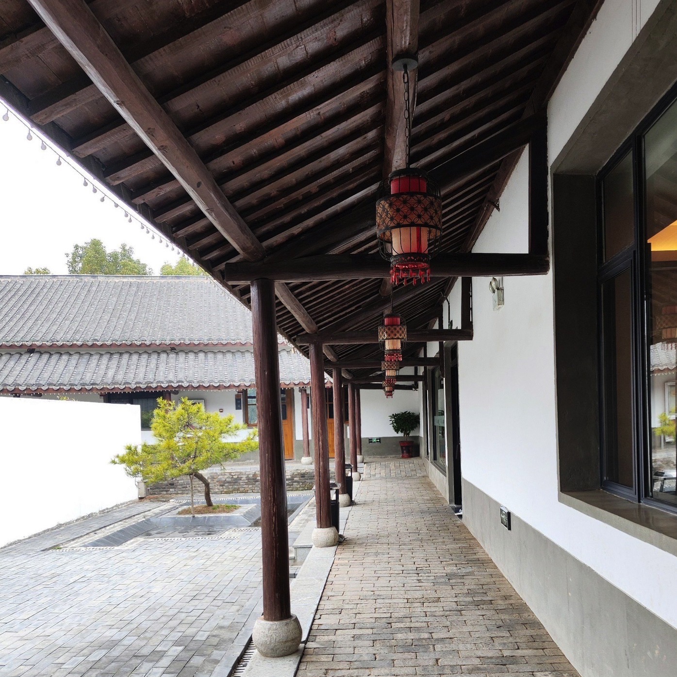 肥西老母鸡家园旅行图片 3