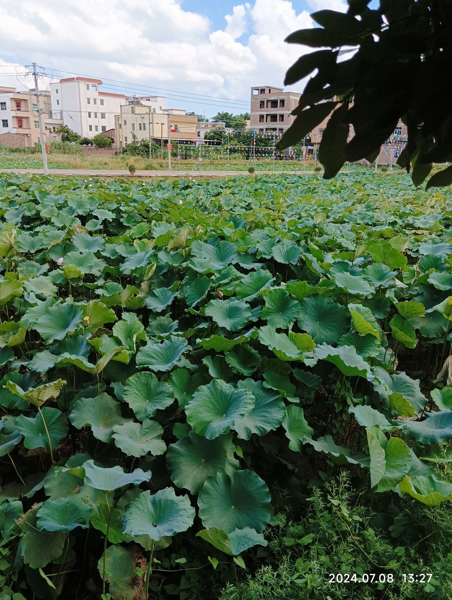 郁南县大湾古民居建筑群旅行图片 2